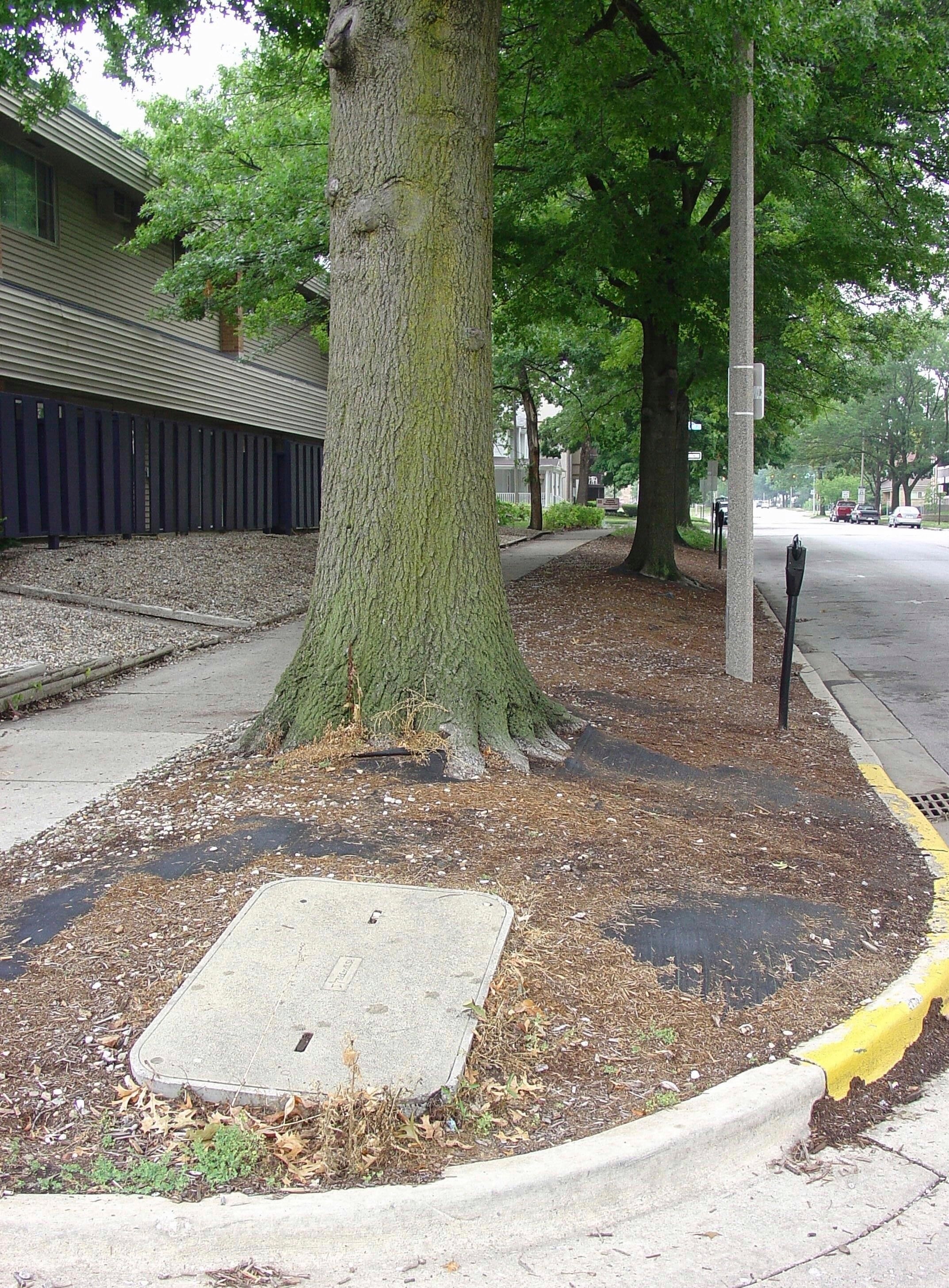 Gardening - Landscape Fabrics