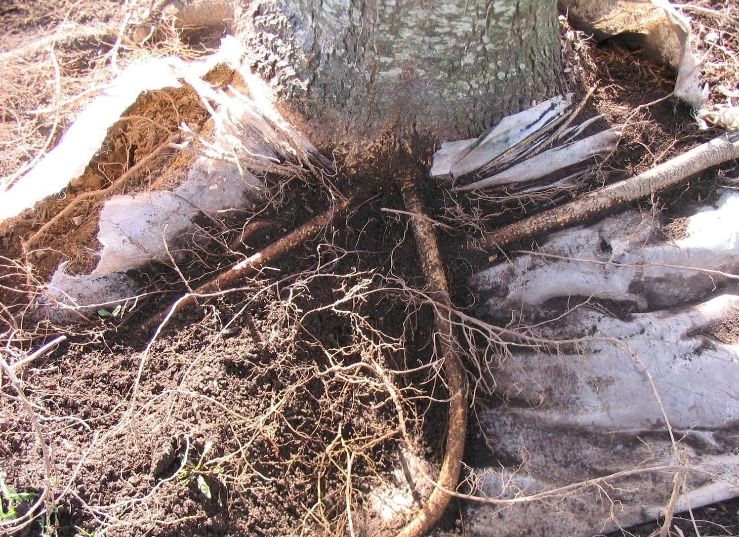 Gardening - Landscape Fabrics