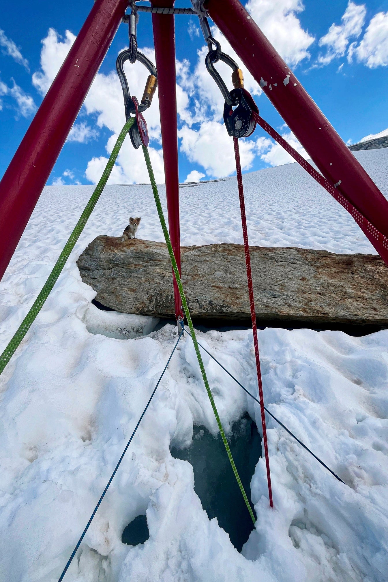 The crevasse in which the Chihuahua’s owner fell through