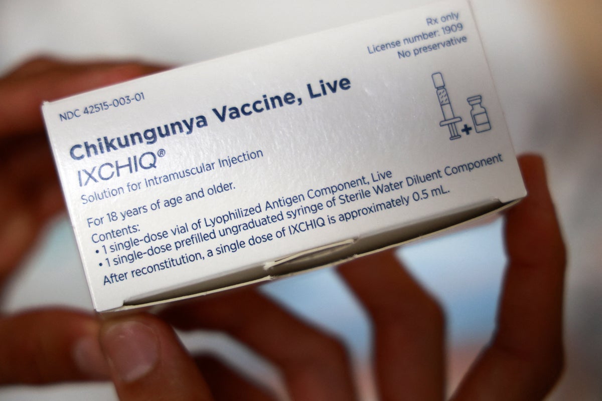 What is chikungunya? Symptoms and travel advice as cases rise in France