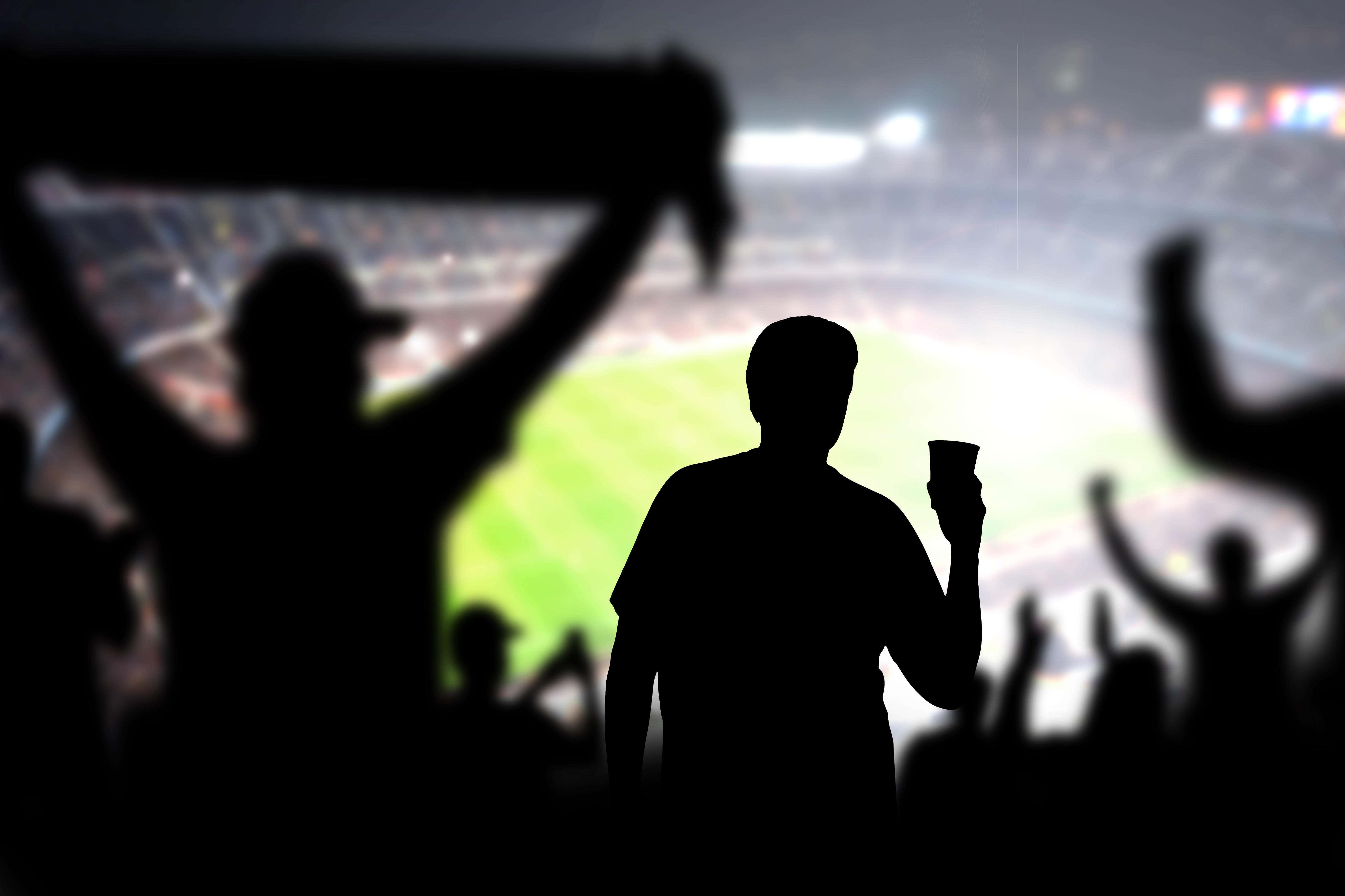 Sport minister rejects calls to consult on alcohol ban in football stands
