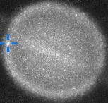 Footage showing likely asteroid or comet crashing onto Saturn