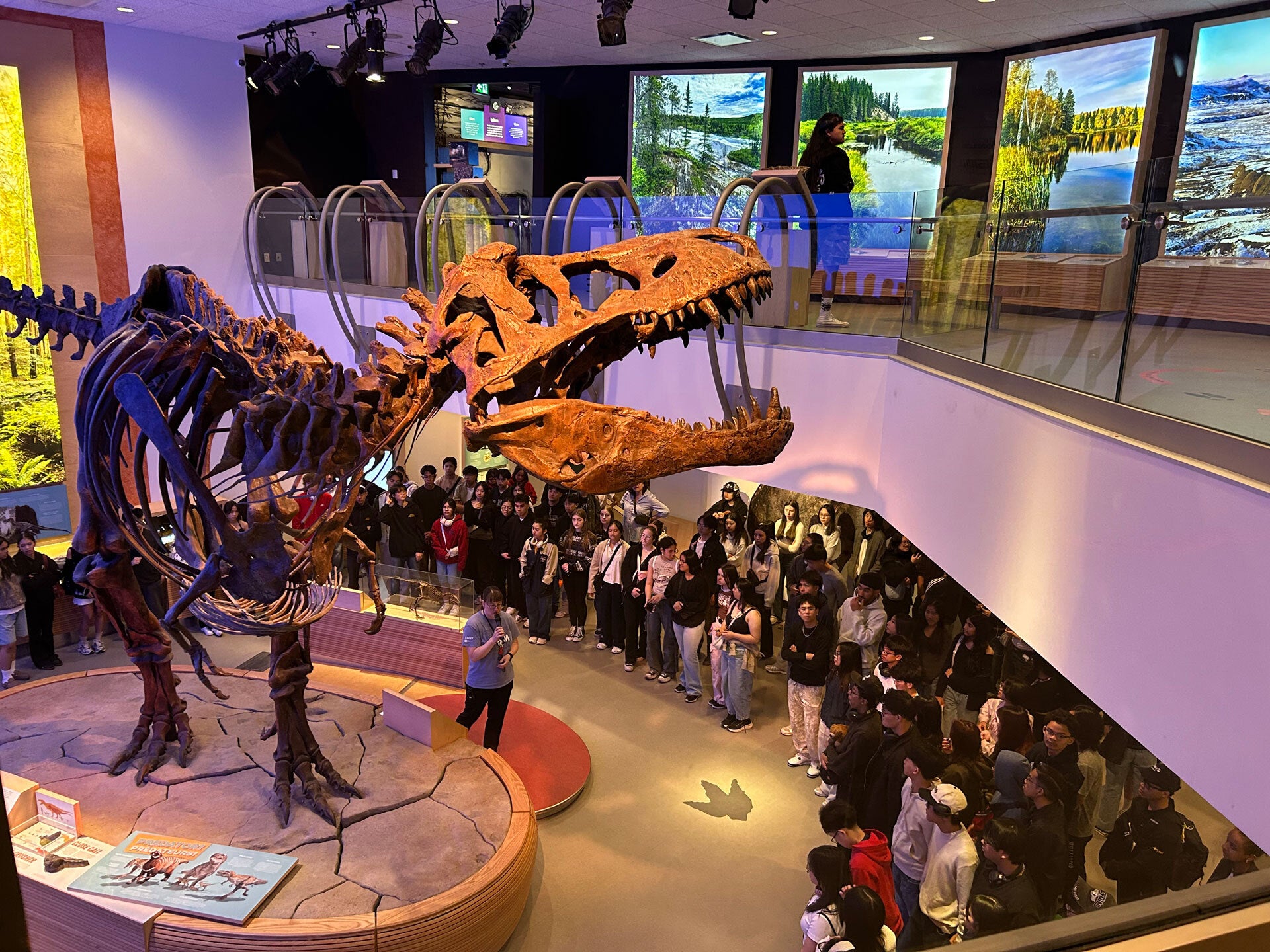Scotty on display at the Royal Saskatchewan Museum