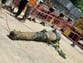 Hong Kong bomb that caused scare turns out to be British cannon barrel