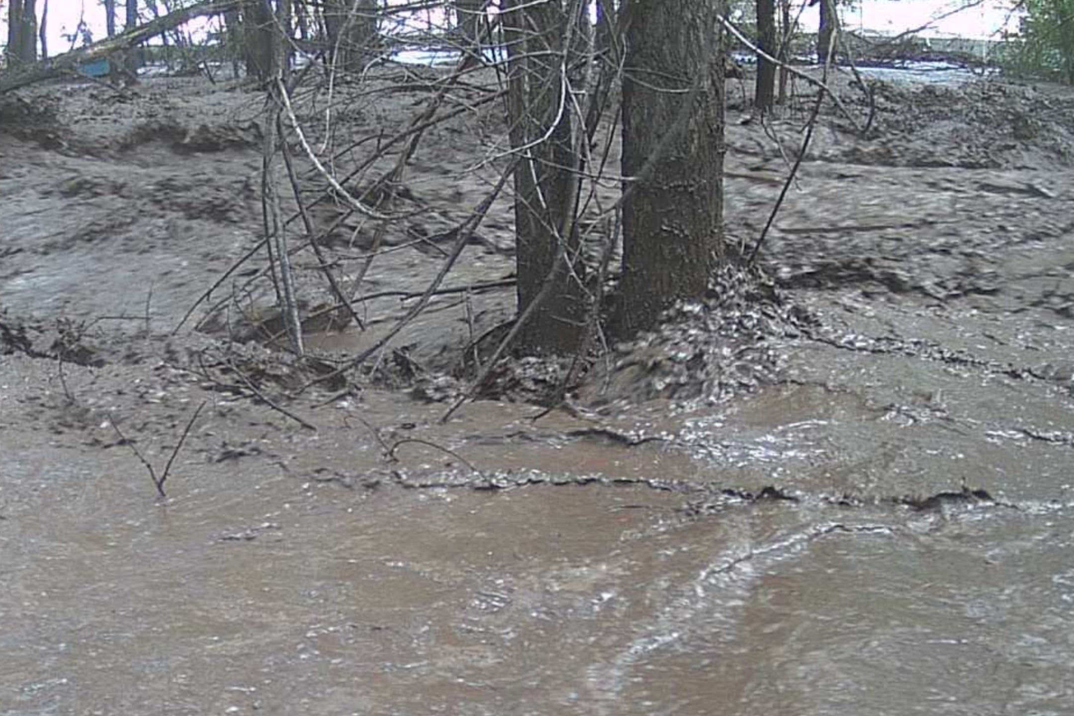 Flash flooding emergency in New Mexico triggers multiple rescues