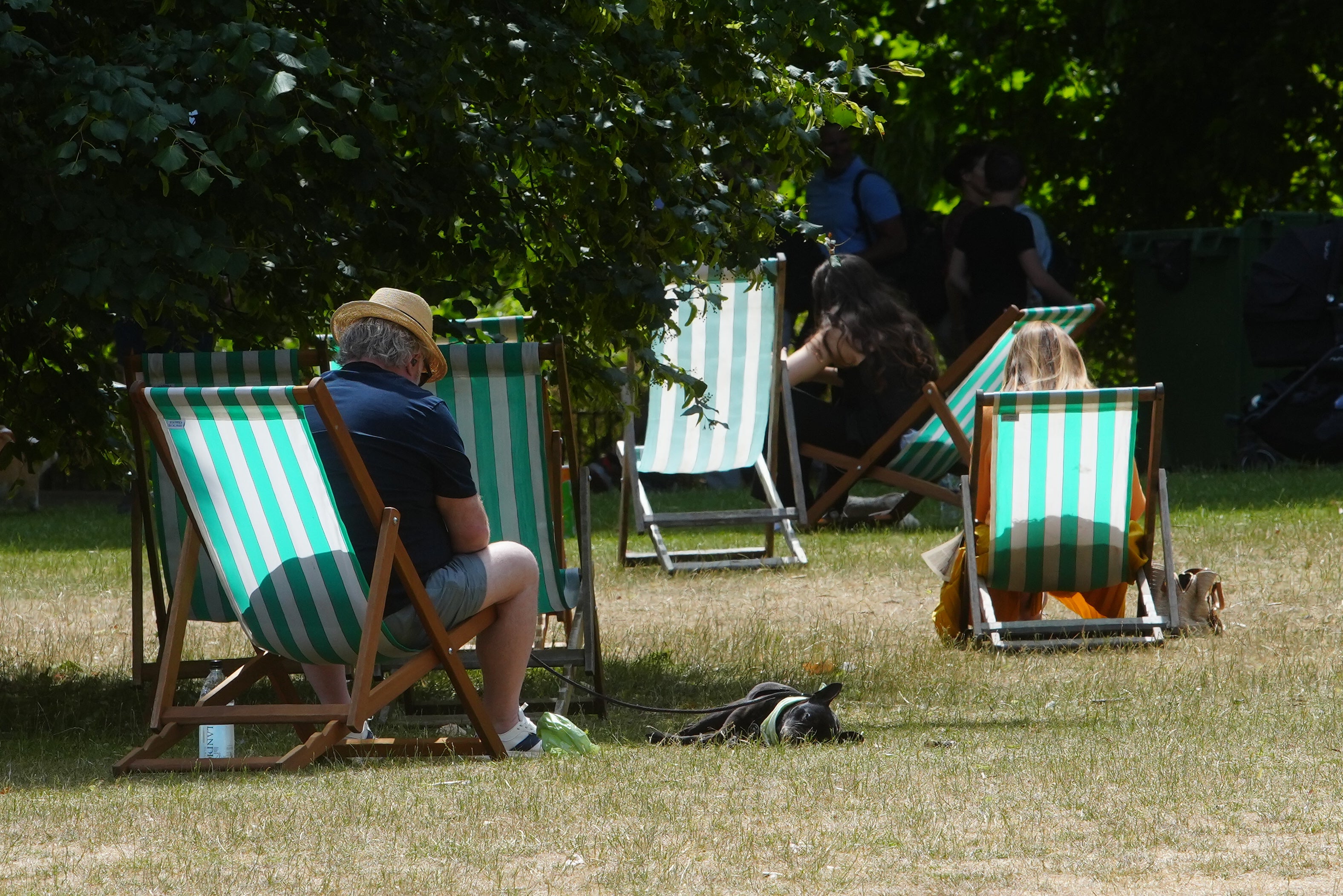 Even stationary time in nature was found to have benefits