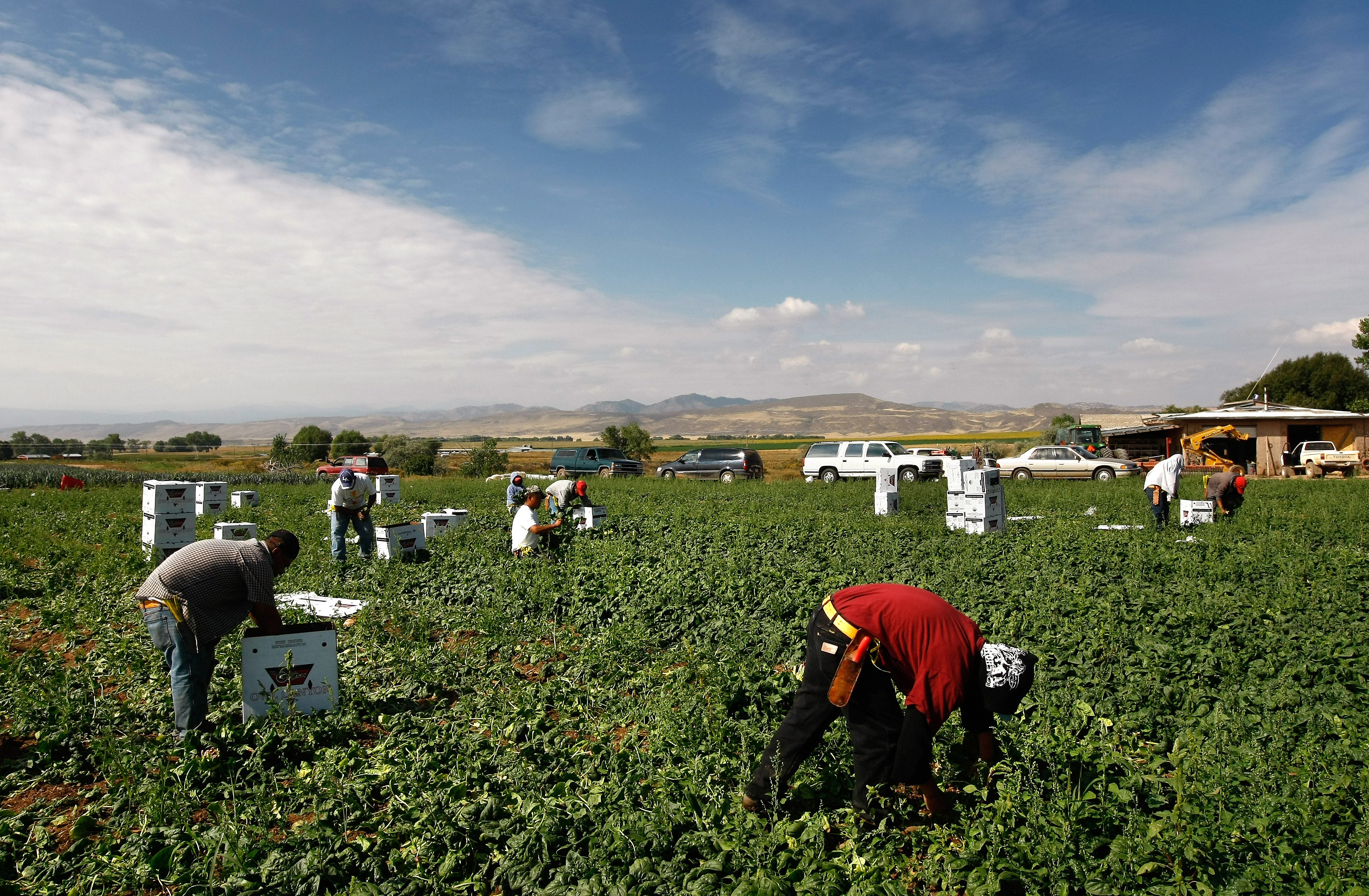 Agriculture Secretary has suggested low-income people on Medicaid can meet new employment requirements for government health program by working in U.S. farms and ranches, replacing deported workers