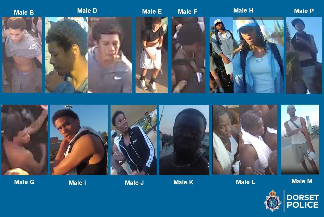 Detectives investigating the public order incident have now issued 12 CCTV images of people they are trying to identify, as they appealed to the public for help