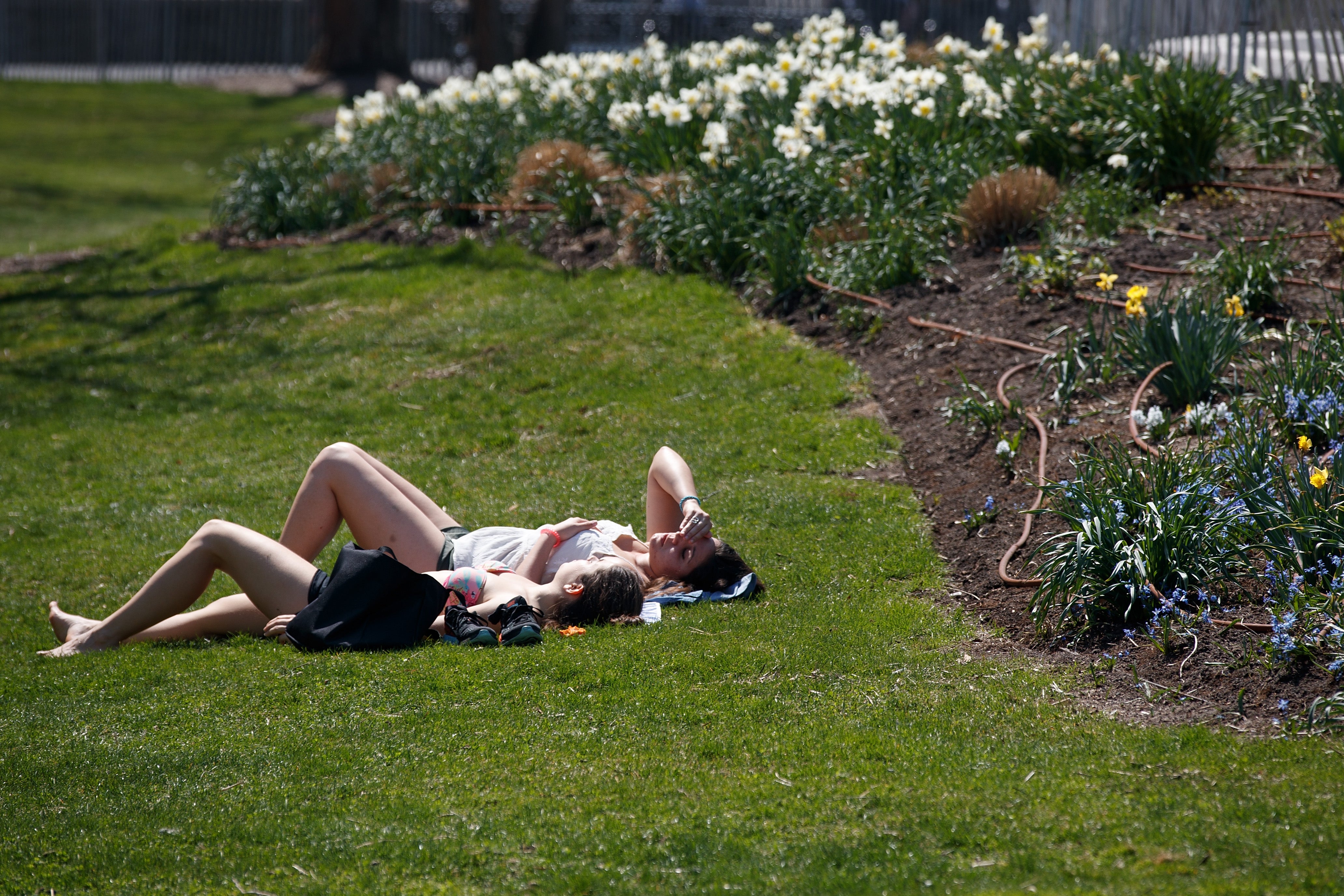 Here’s why you should catch some rays this summer