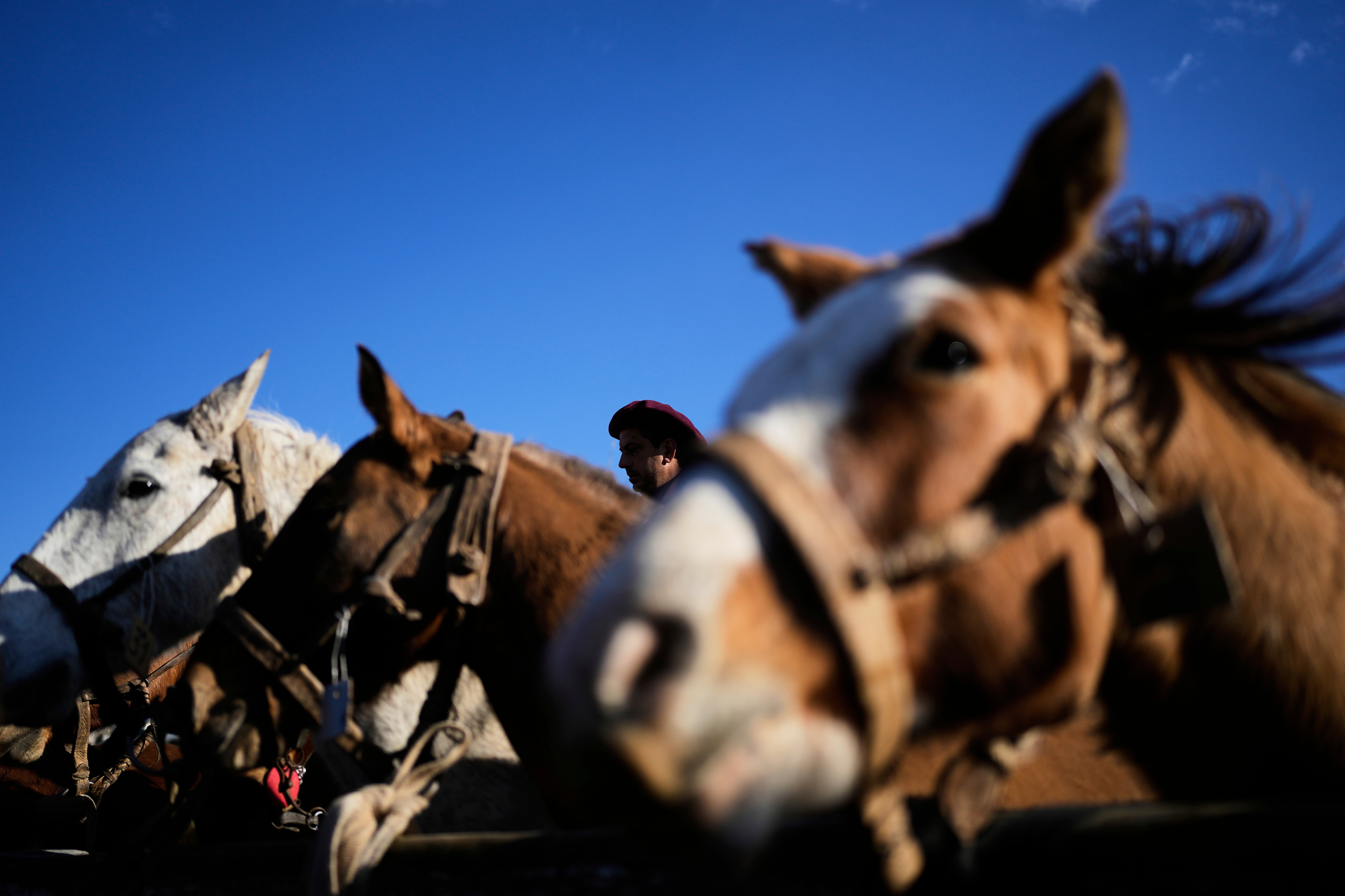 Argentina Independence Day