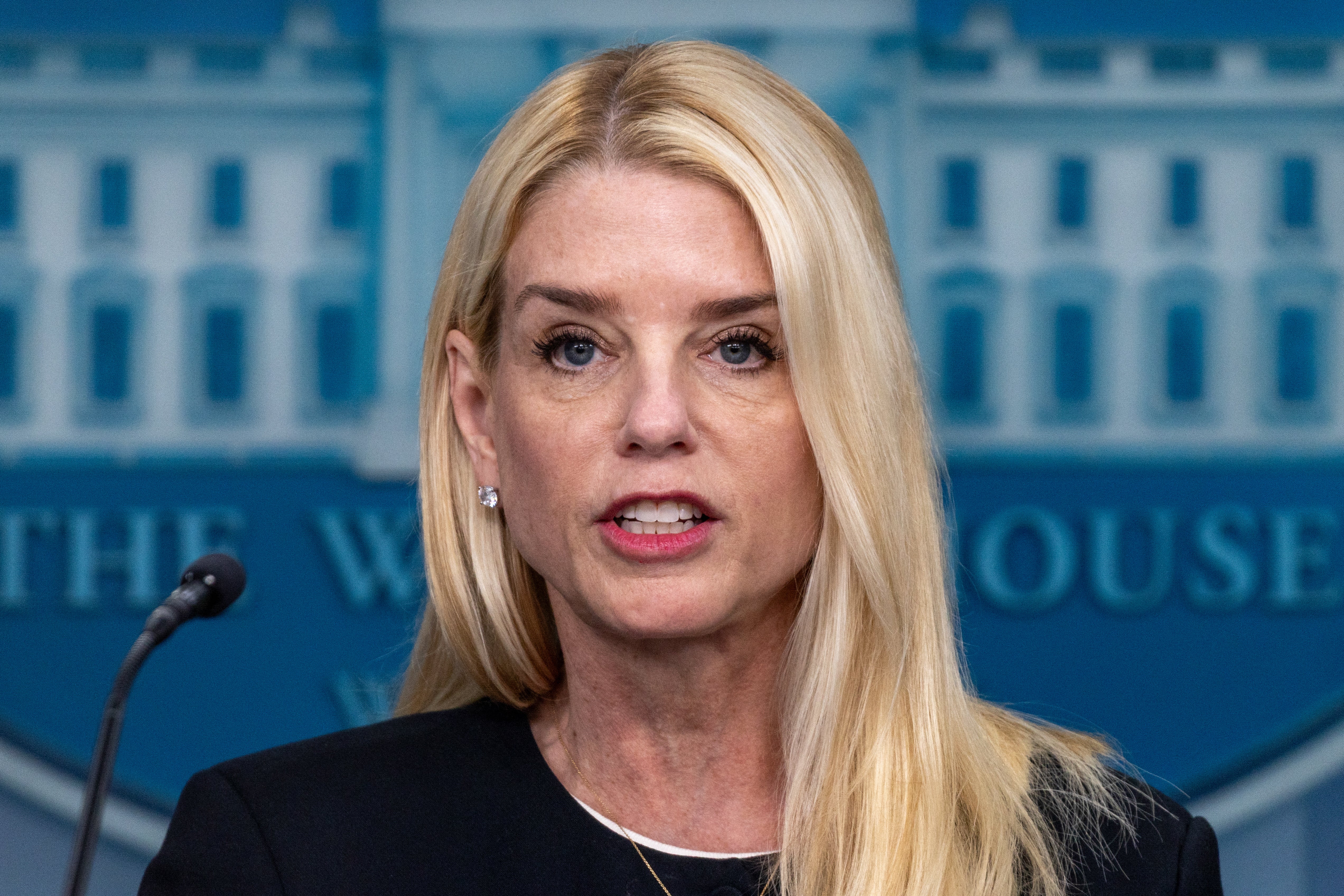 In February, Attorney General Pam Bondi told Fox News the client list is 'sitting on my desk right now to review.'