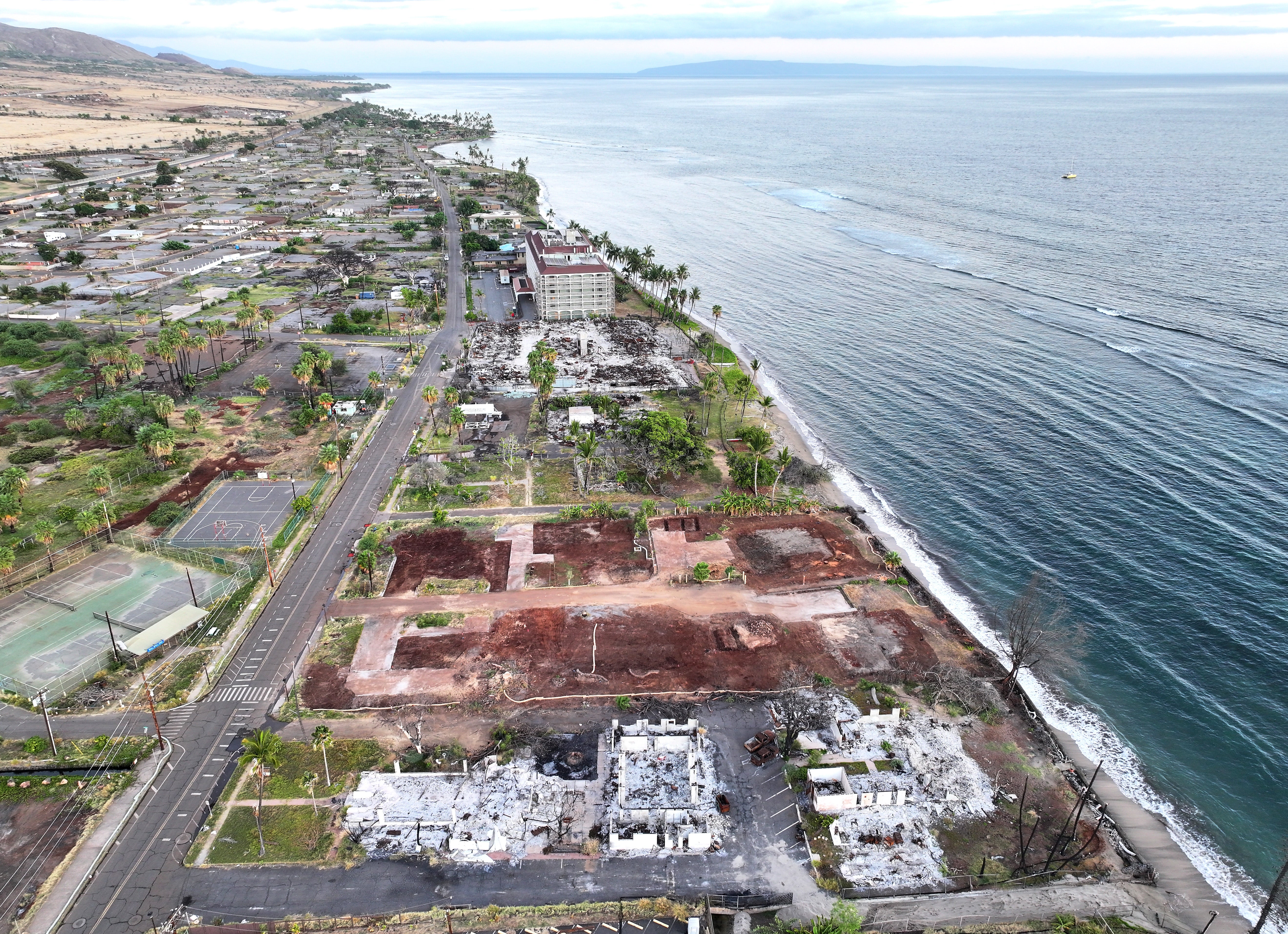 An aerial view of destroyed and cleared properties with vegetation regrowth one year after the Lahaina wildfire in Hawaii