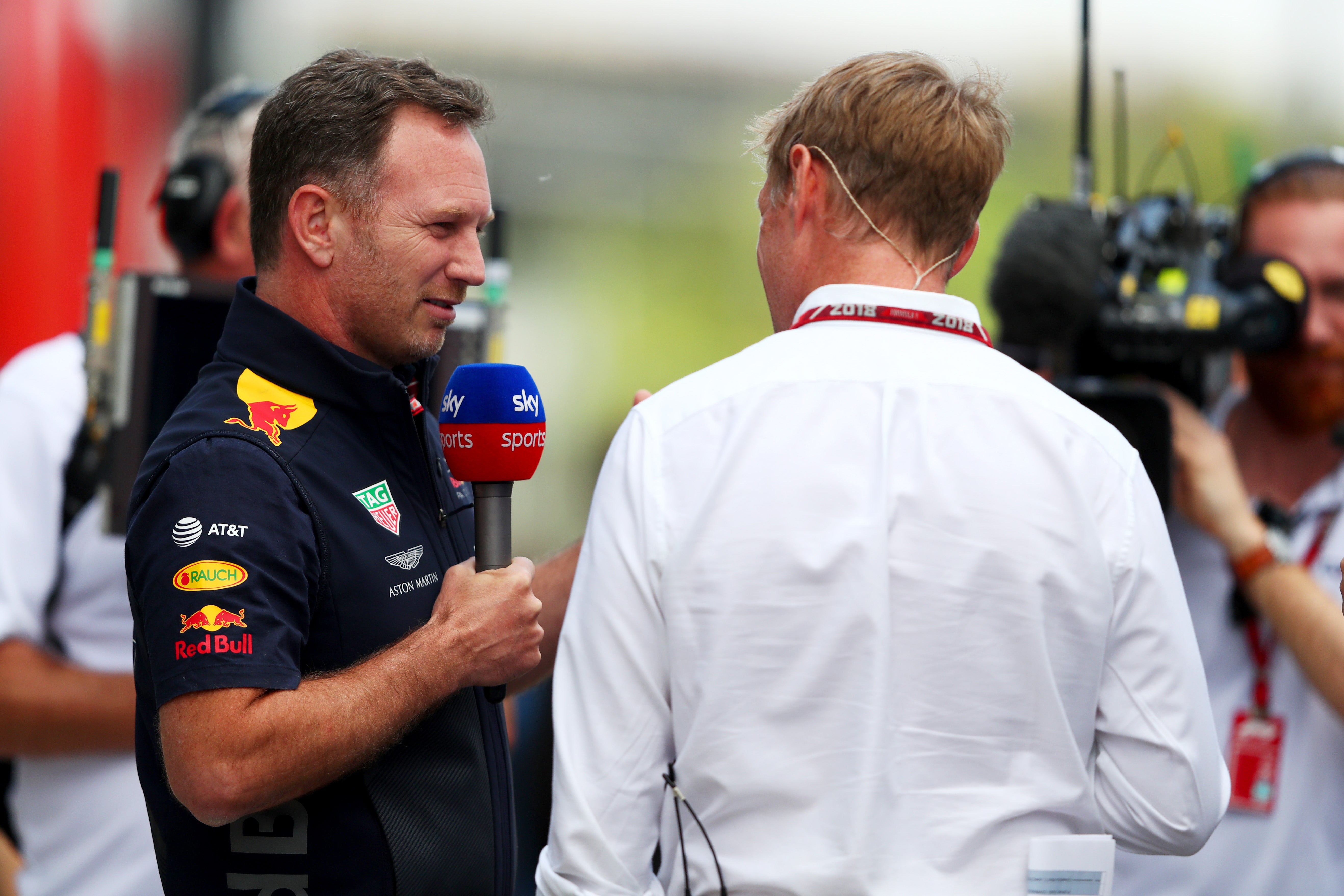 Horner could look to pursue a career in TV