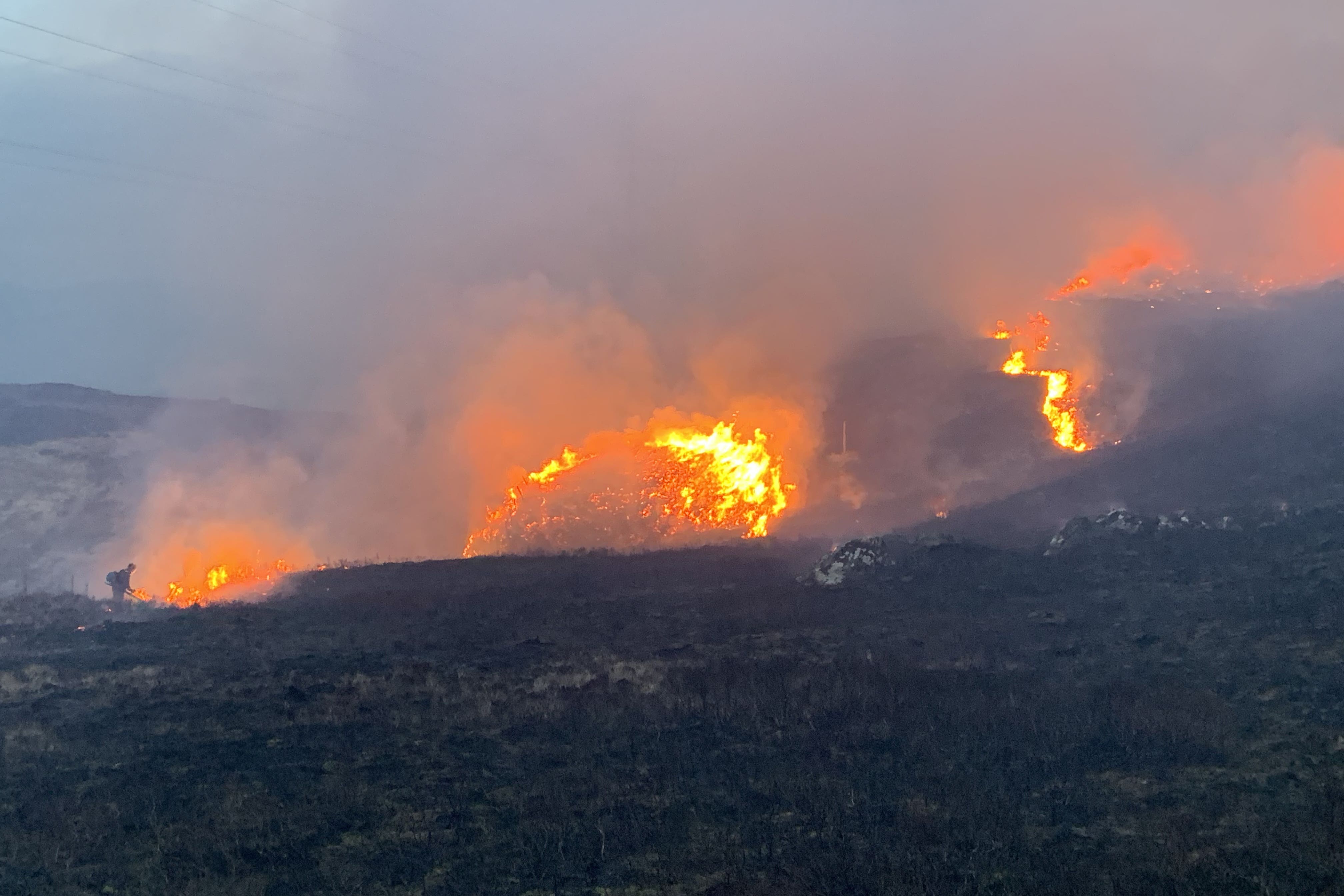 Wildfires burned for several days in the north of Scotland (SGA Media)