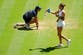 Two Wimbledon fans faint during semi-final as Aryna Sabalenka provides them with water