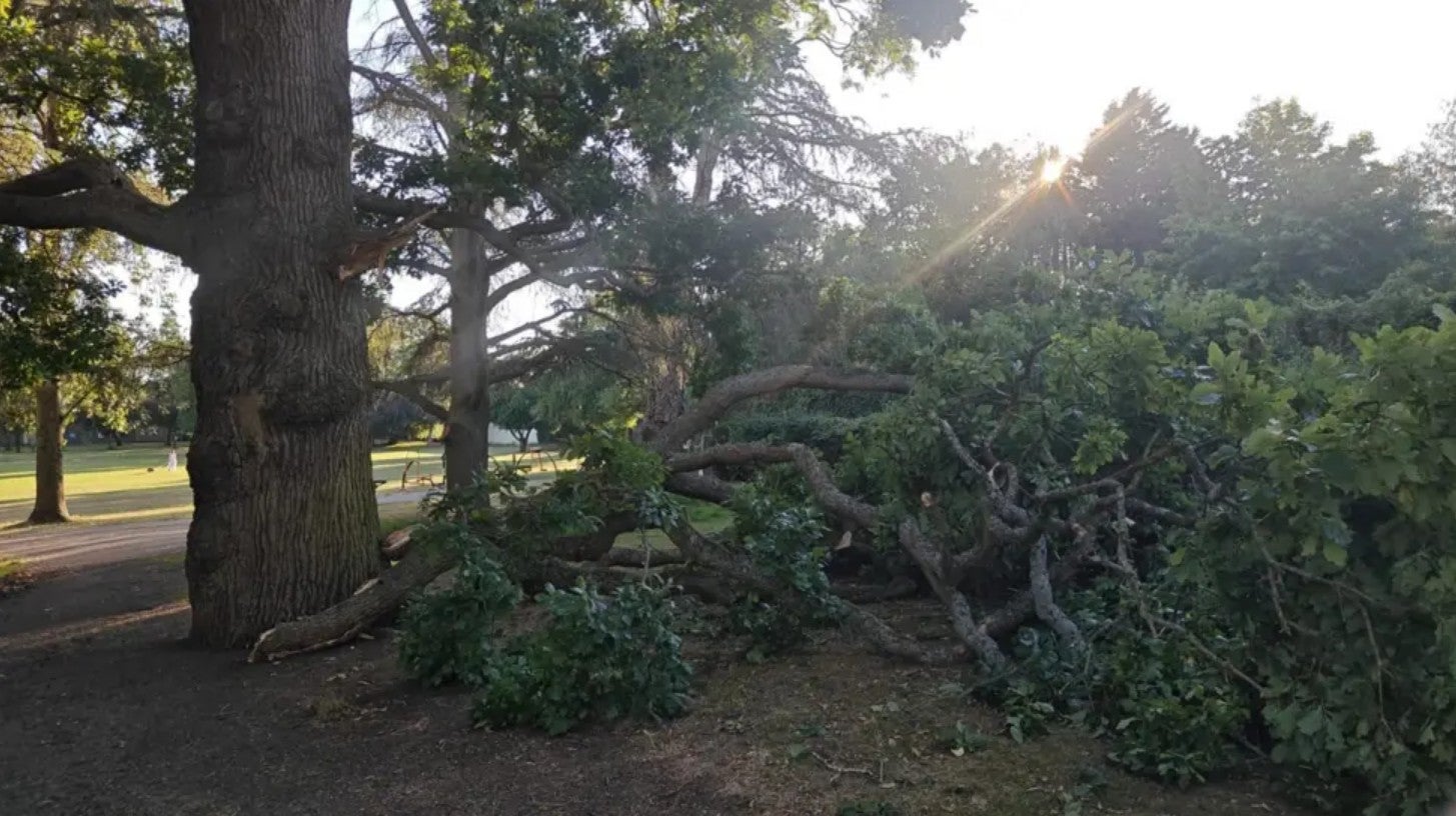 There were two separate incidents at Stanmore Recreation Ground