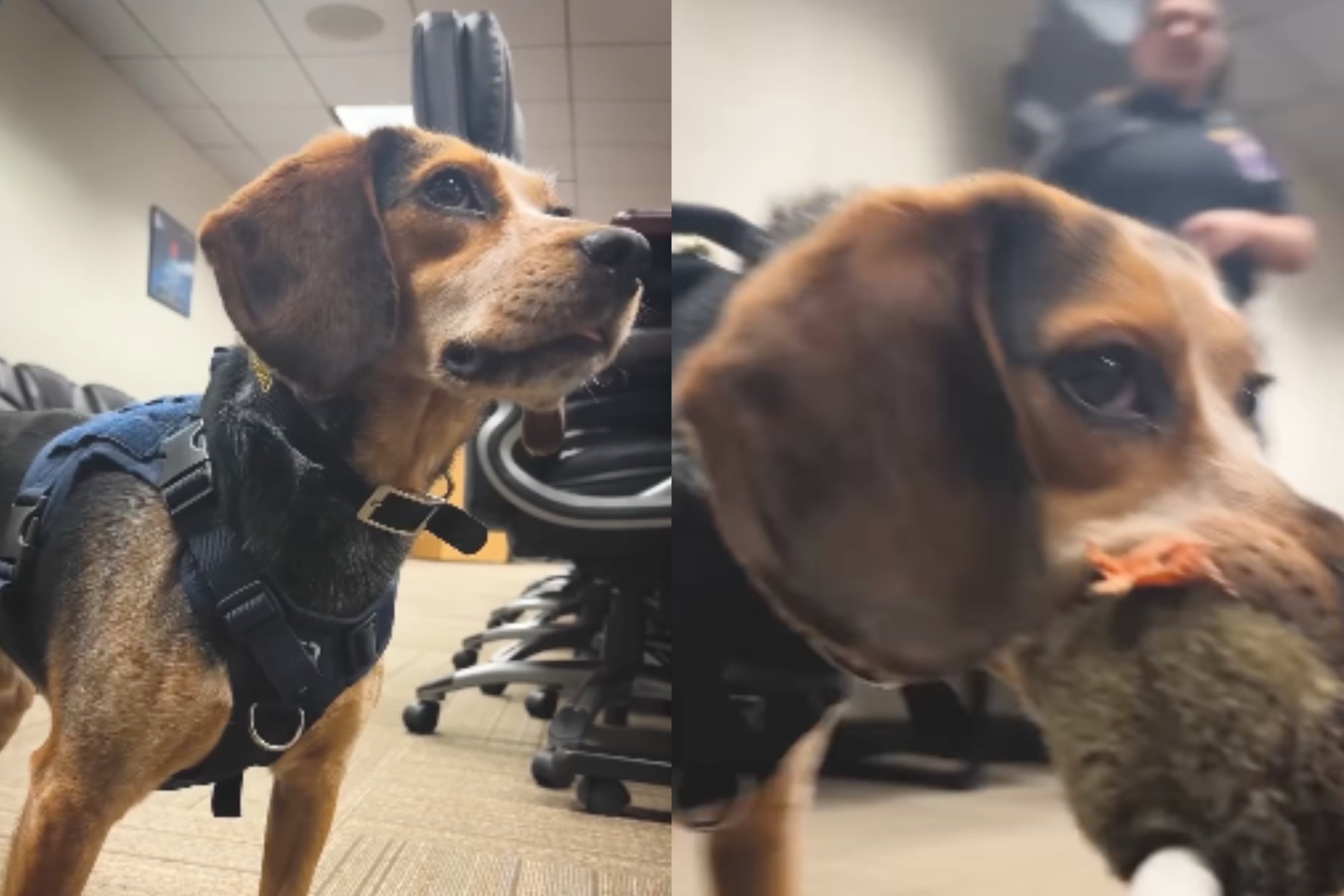 People from all over the world reached out to share their concerns for Freddie