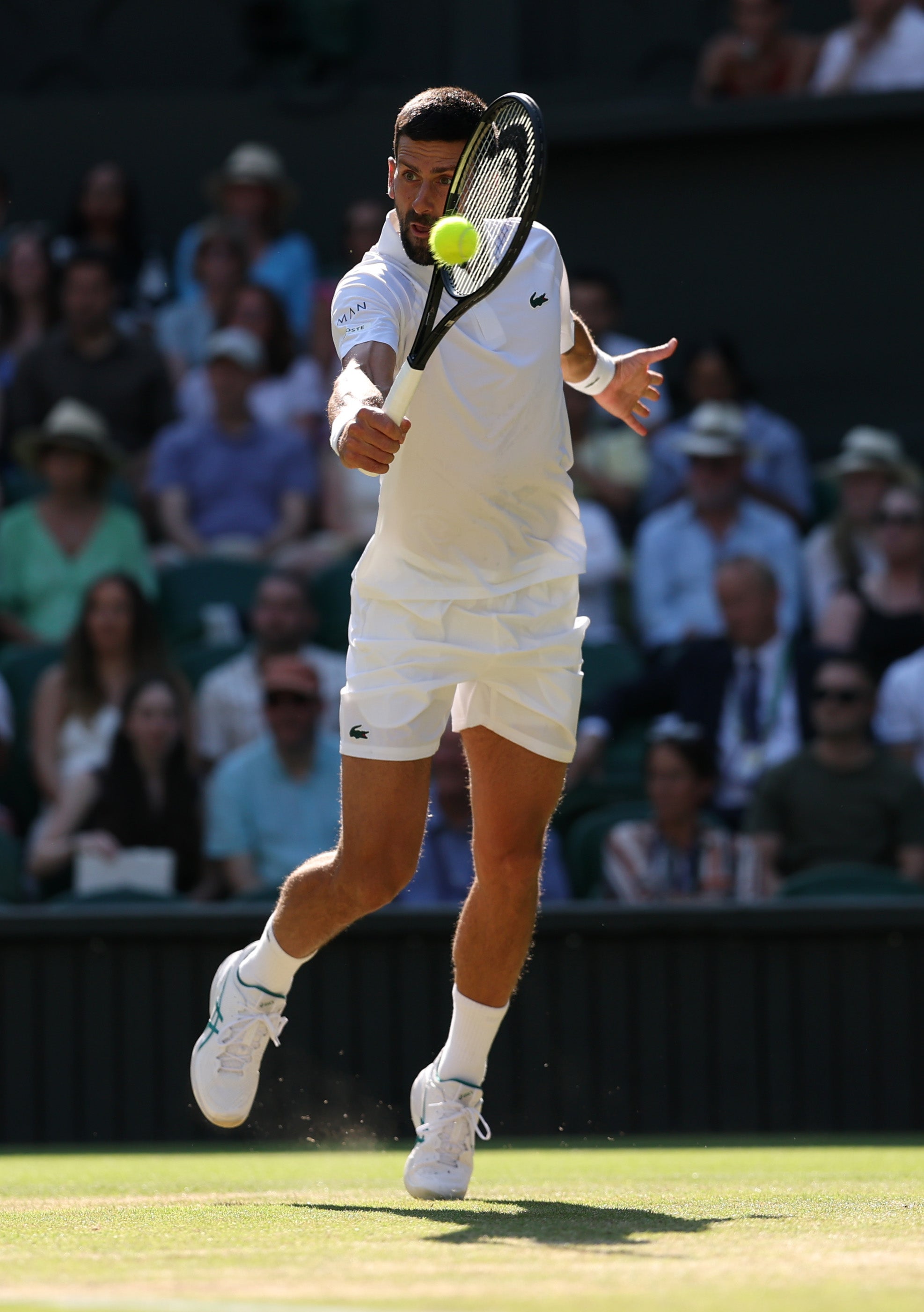 Wimbledon 2025 live: Djokovic and Sinner face off to play Alcaraz in final after Fritz beaten