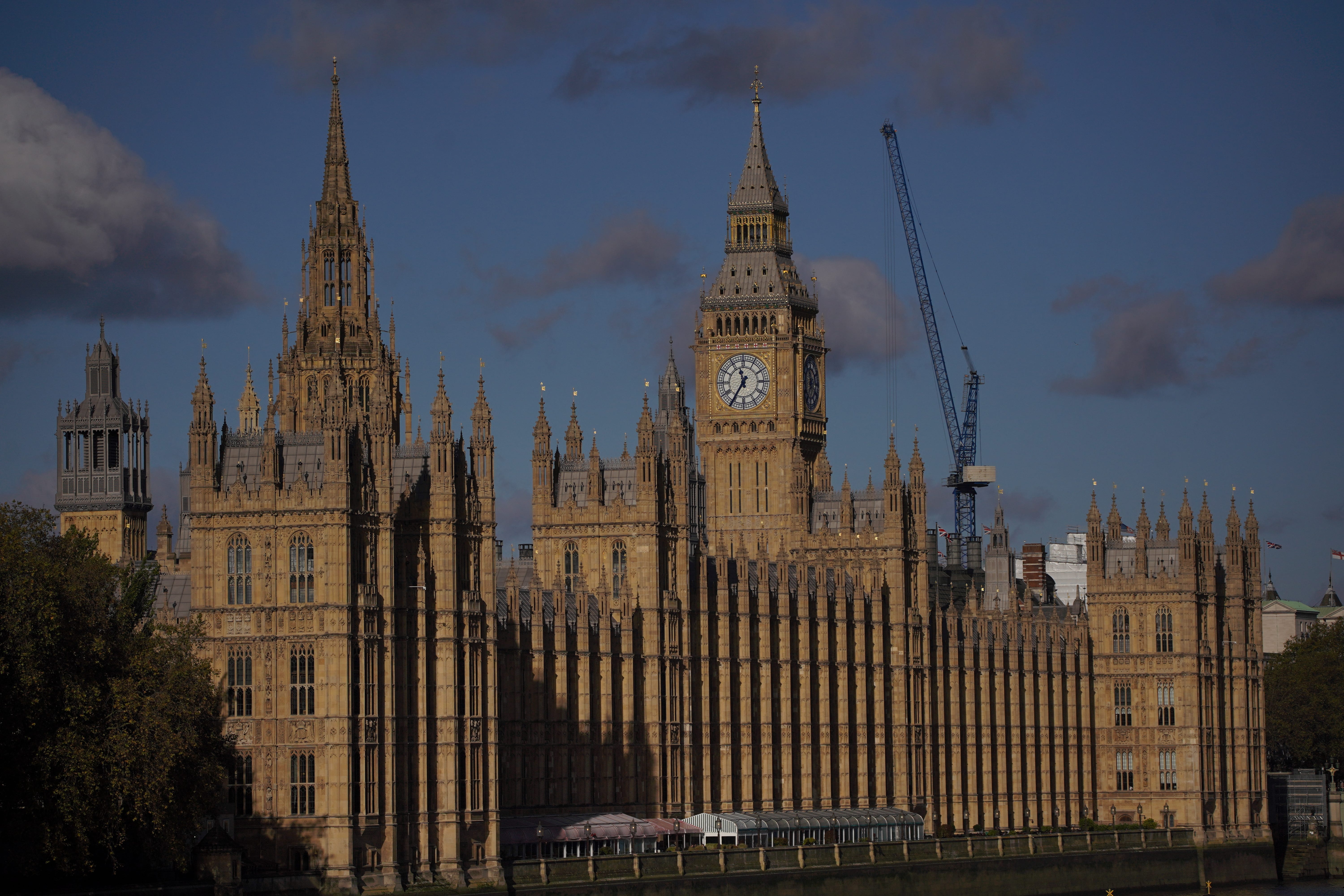 The proposed law has passed the Commons (Aaron Chown/PA)