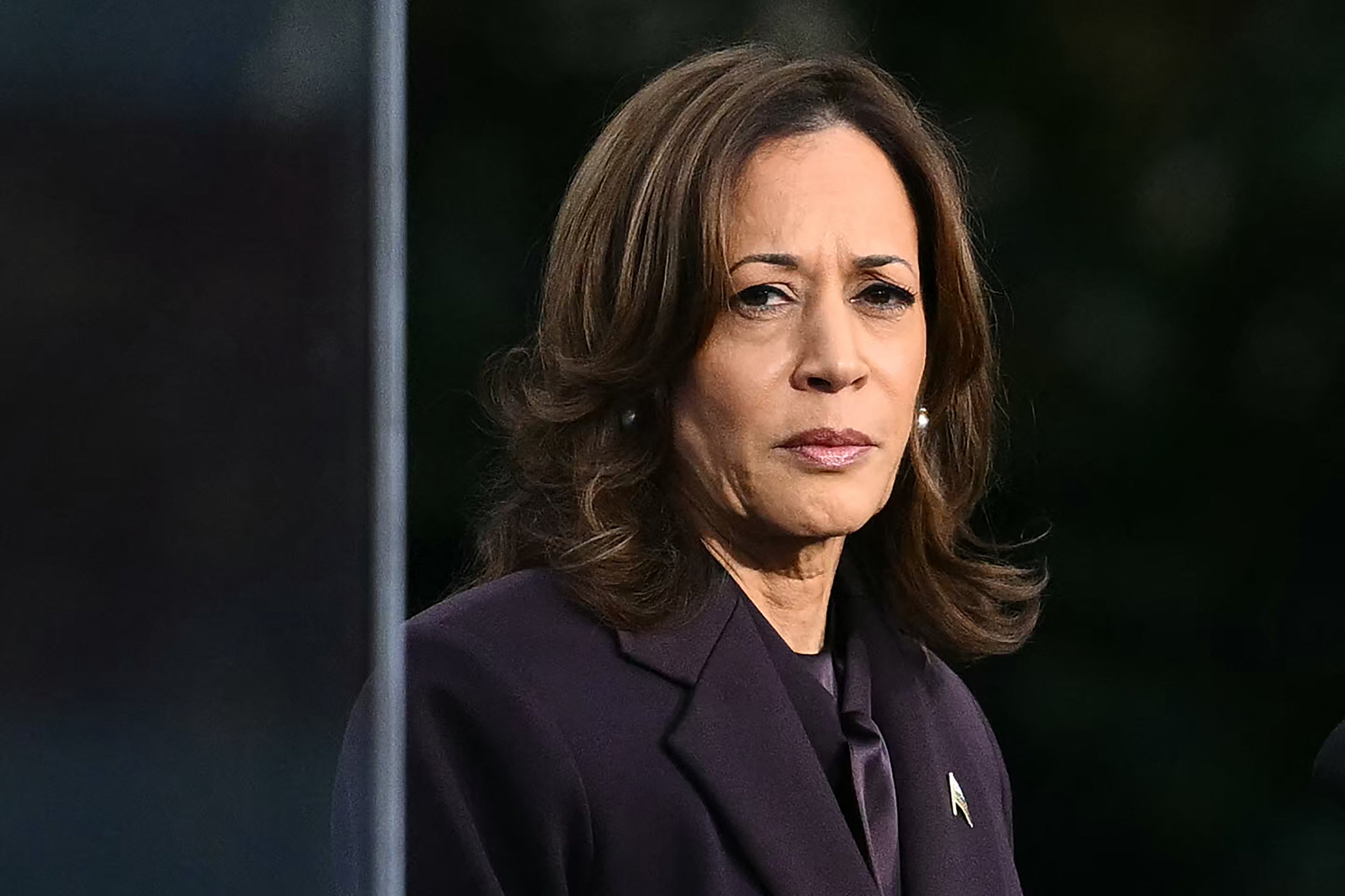 In a statement released by her office Wednesday, Harris said she had reached the decision after ‘deep reflection’ and vowed to ‘remain in the fight’ despite not holding an official political office