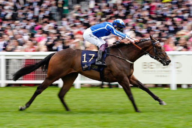 <p>Venetian Sun is tipped to go well in the Duchess of Cambridge Stakes </p>