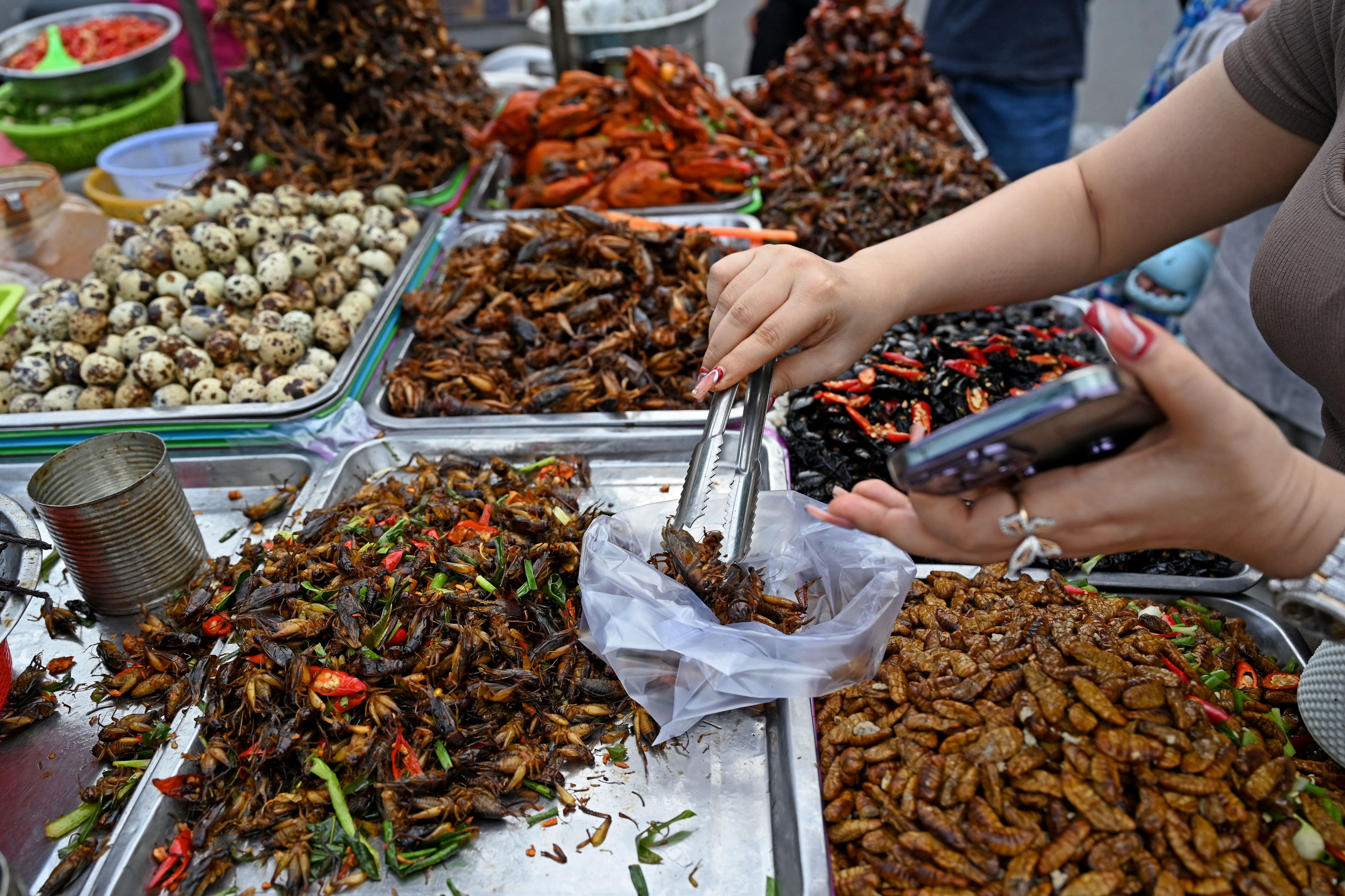 Insects are considered a nutritious and sustainable food source in several parts of the world