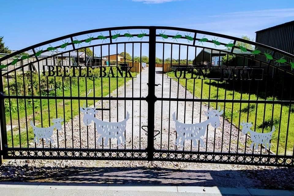 The director of Beetle Bank Farm said they will struggle to feed their animals this year because of the weather (Beetle Bank Open Farm/PA)