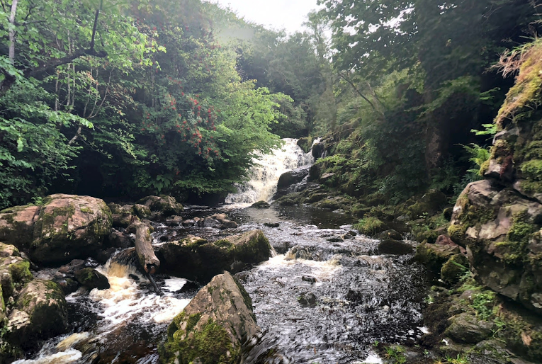 A 63-year-old woman fell near Campsie Glen waterfall in East Dunbartonshire