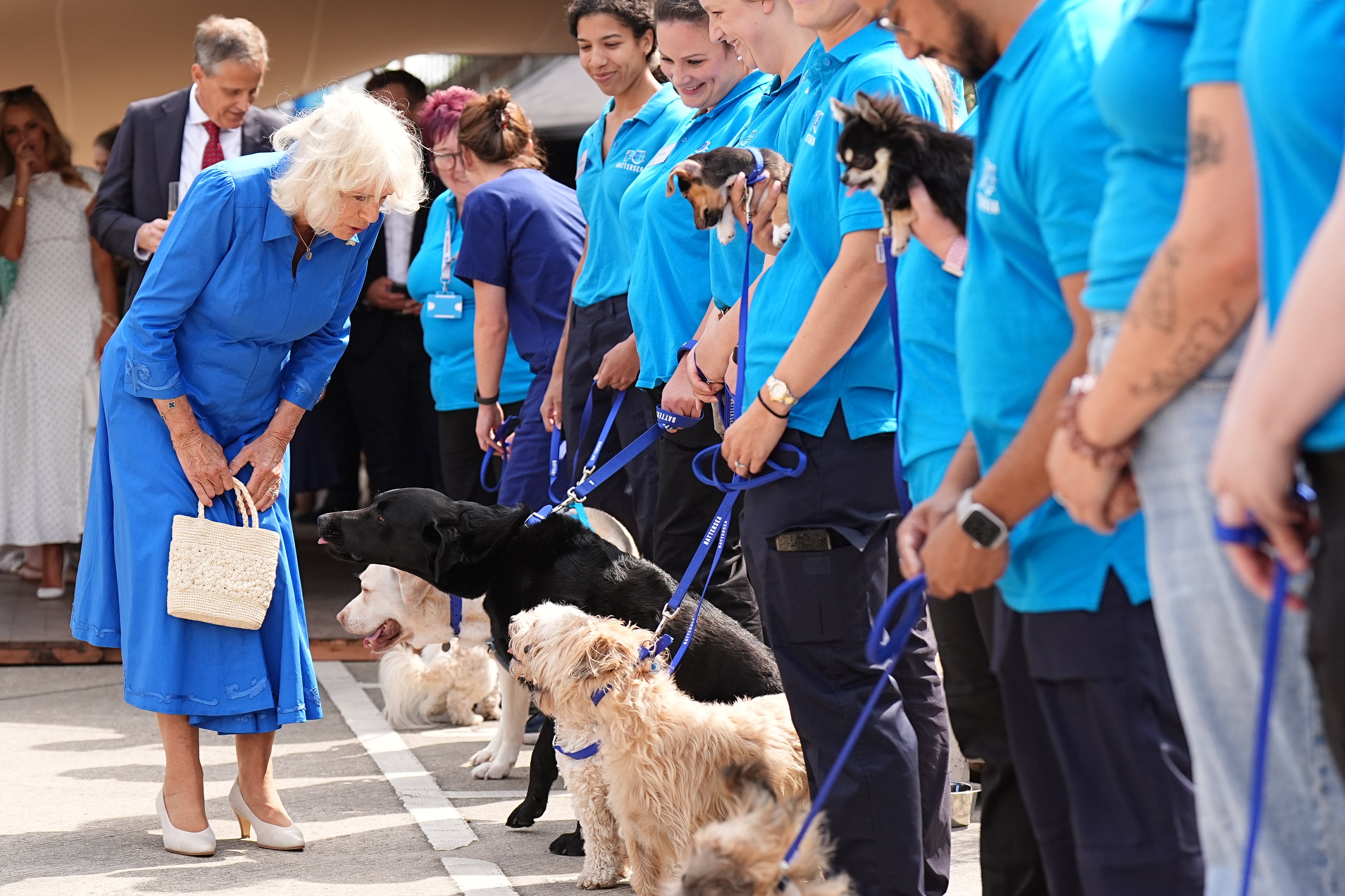 Camilla is greeted by staff and dogs at Battersea Dogs and Cats Home