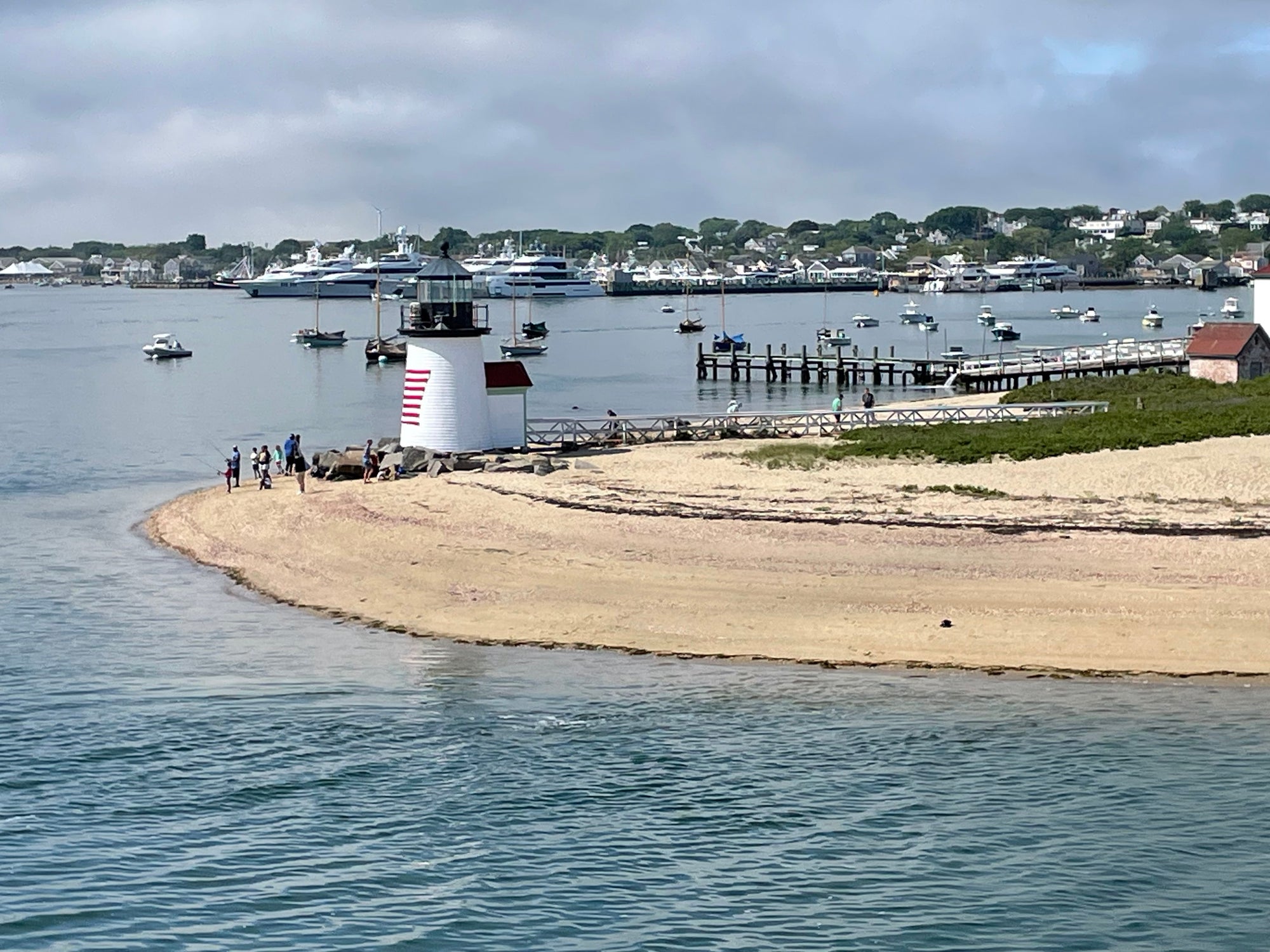 A pair of Nantucket neighbors are embroiled in a lawsuit over cut trees and ocean views. Patricia Belford is suing her neighbor, Jonathan Jacoby, for allegedly cutting down her nearly 50-year-old trees. Her lawsuit claims Jacoby cut down the trees to increase the property value on his home. (stock image)
