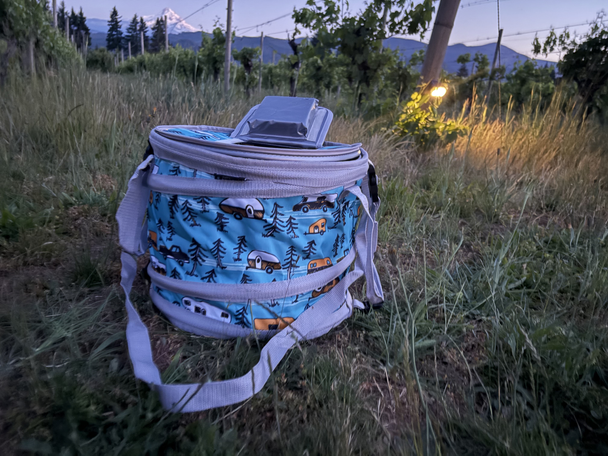 Best coolers for picnics and parties, tried and tested on hot summer days indybest