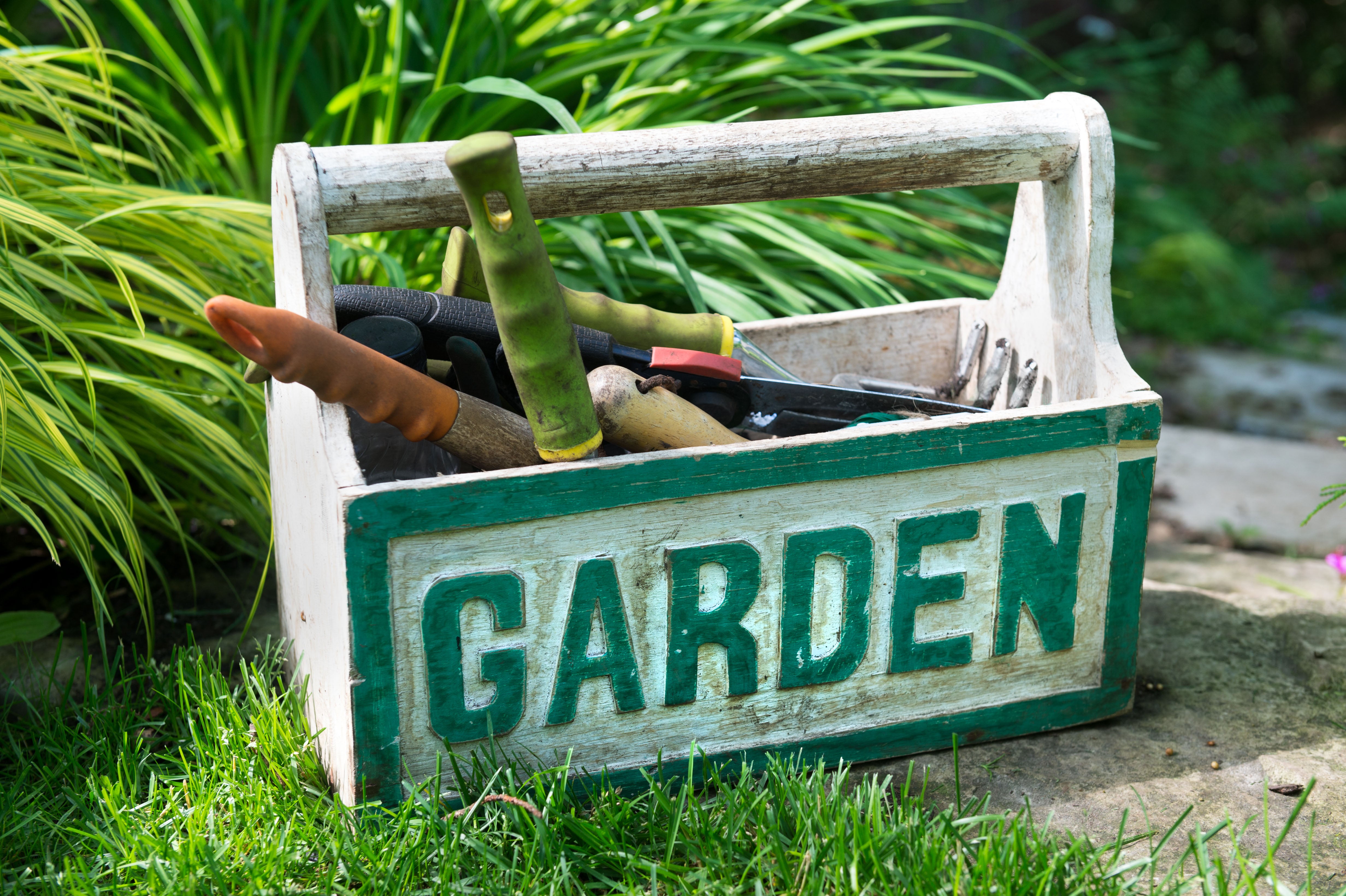 Experts reveal their top tips to keep on top of your garden, without spending hours on it