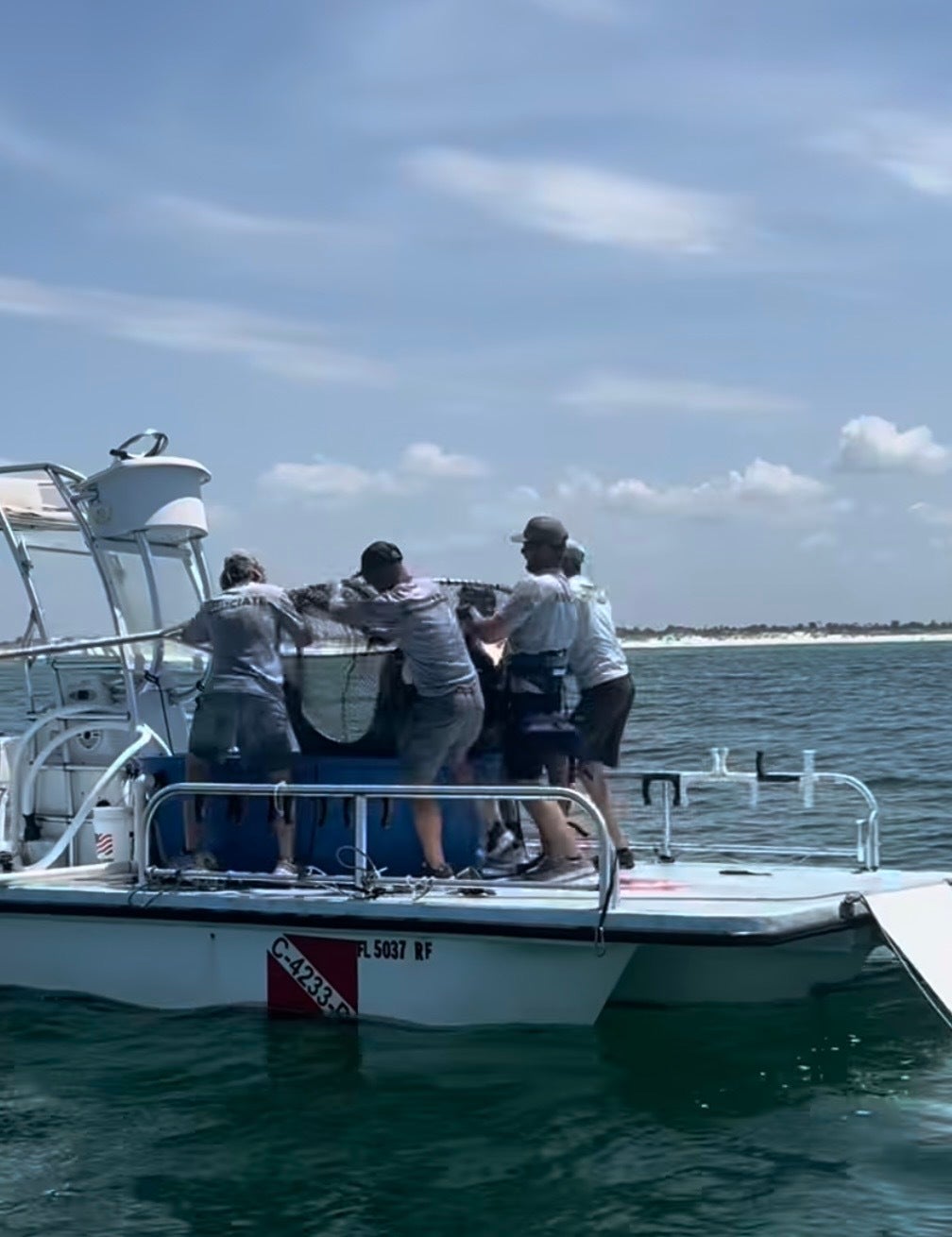The captors put the giant manta ray in what looked like a kiddie pool on the boat.