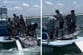 Outrage after video shows Florida fishing group capturing protected manta ray from water
