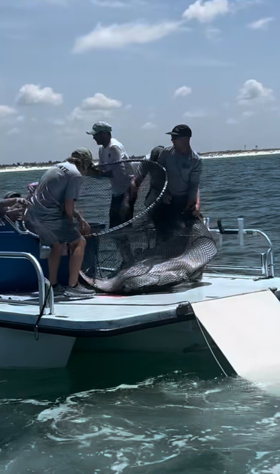 Richard said the giant manta ray looked like it was fighting for its life.