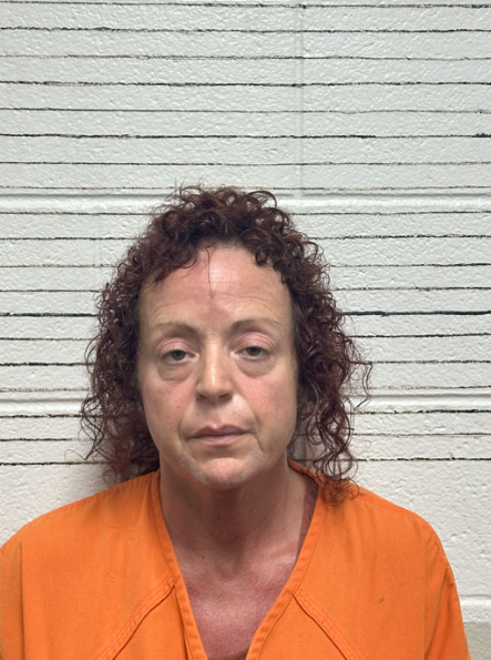 Both Nathaniel and Aimee Curington (pictured) were charged with seven counts of felony cruelty to animals