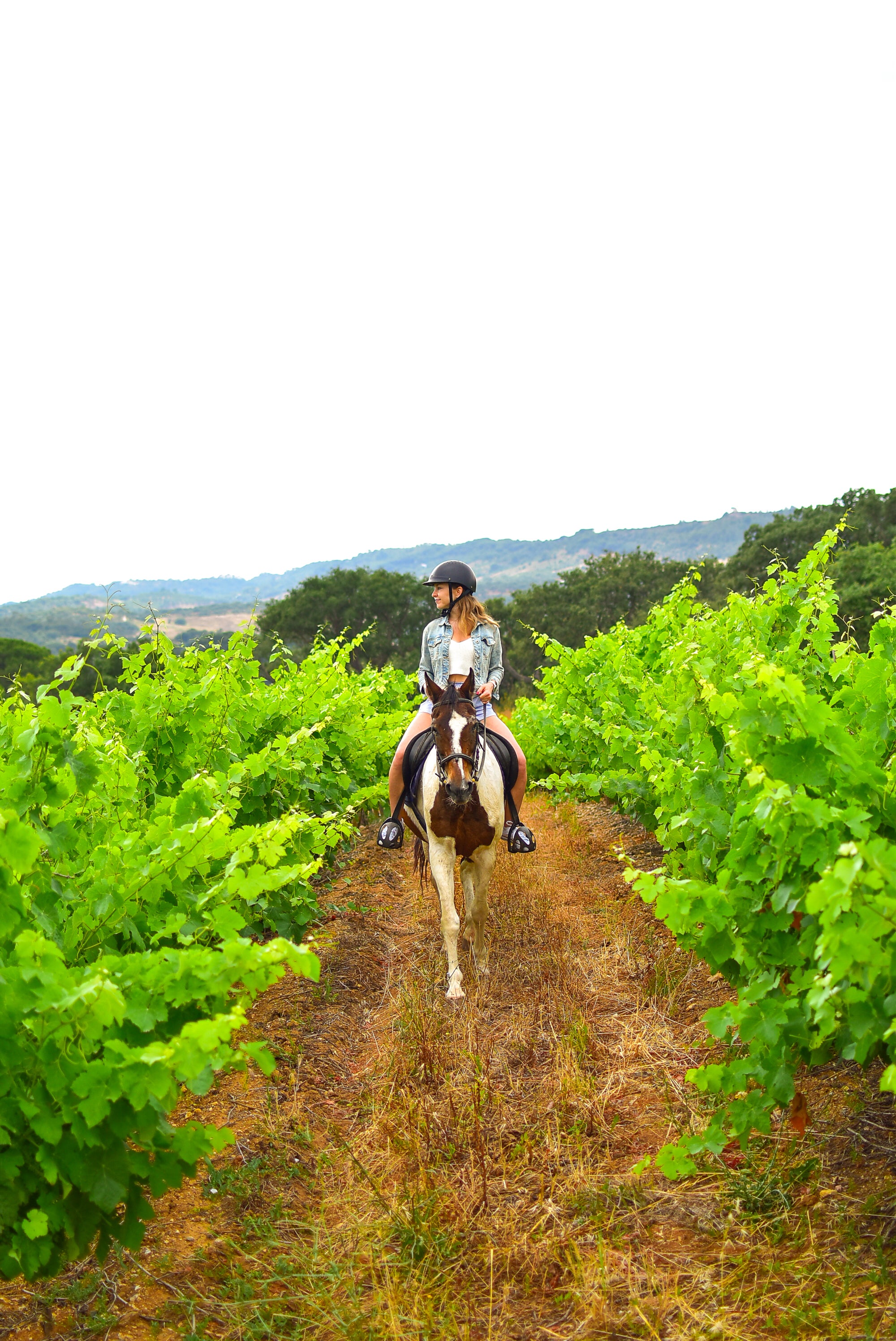 Horse riding is a popular activity in Arrábida Natural Park