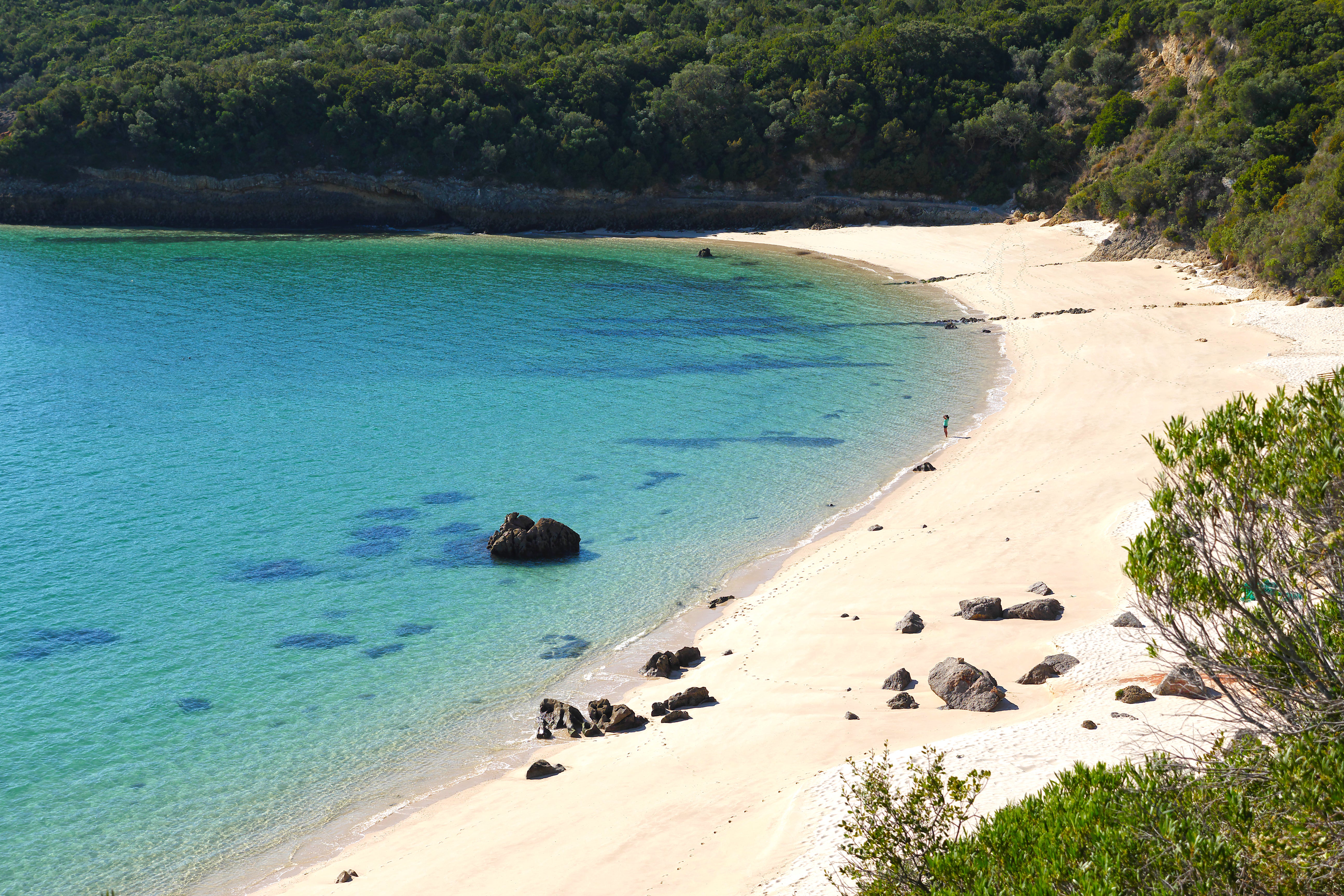 Beaches such as Galapinhos Beach are often compared to shores in Thailand