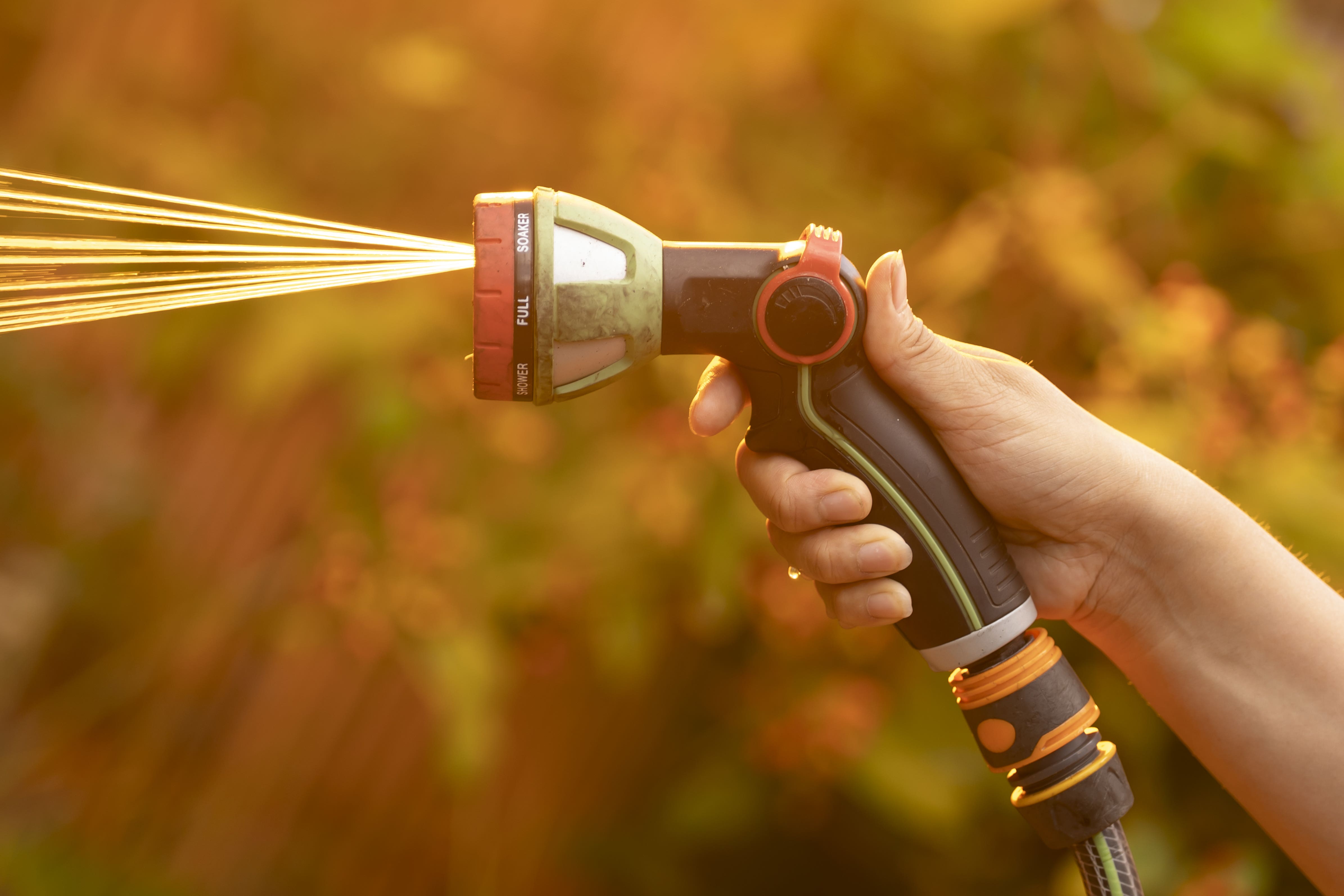 Restrictions on hosepipes for activities such as watering gardens, filling paddling pools or washing cars will come in in Hampshire and the Isle of Wight from Monday (PA)