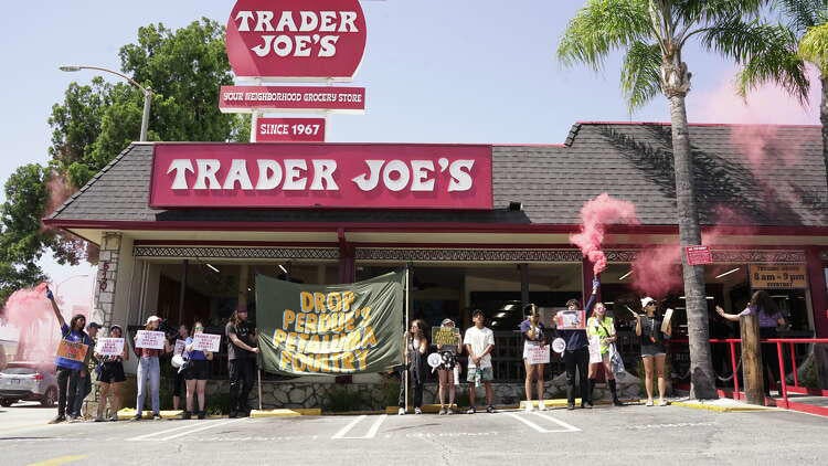 Members of Direct Action Everywhere protesting outside a Trader Joe's grocery store in Pasadena on July 2, 2025