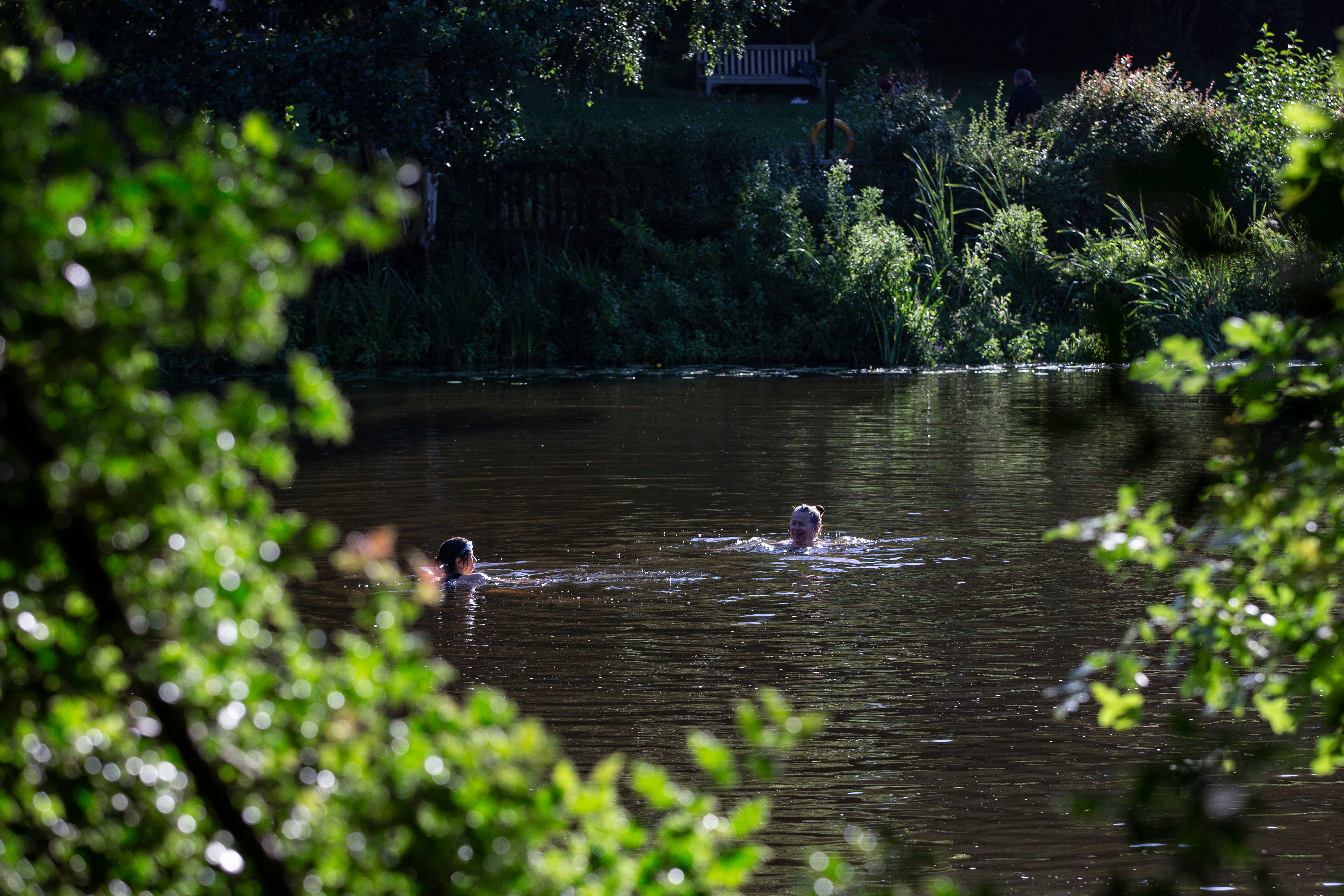 Can Hampstead Heath ladies’ pond win the fight for trans inclusion? A view of the pond, popular with those looking to relax and unwind