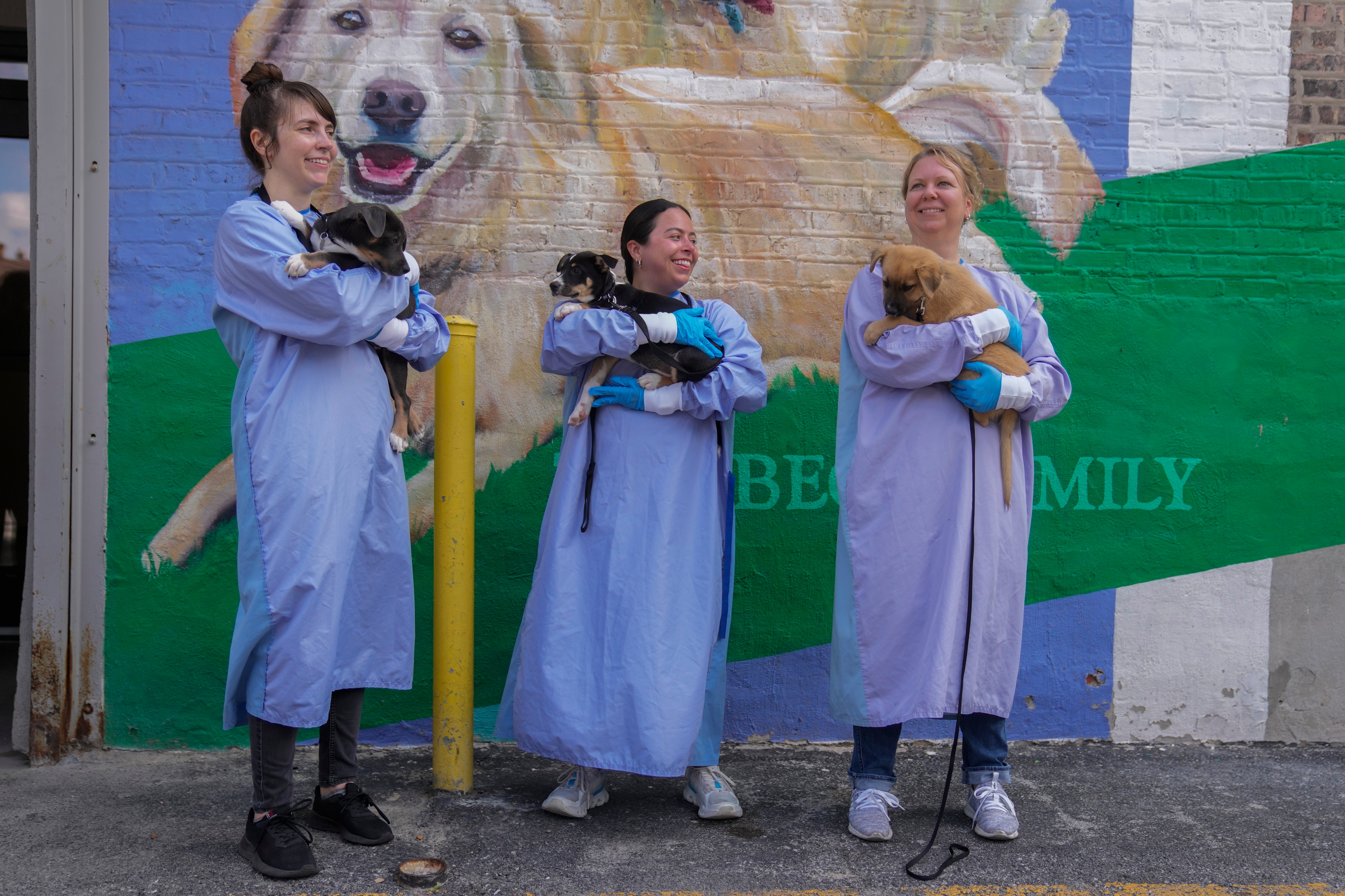 Texas Floods Pet Shelters