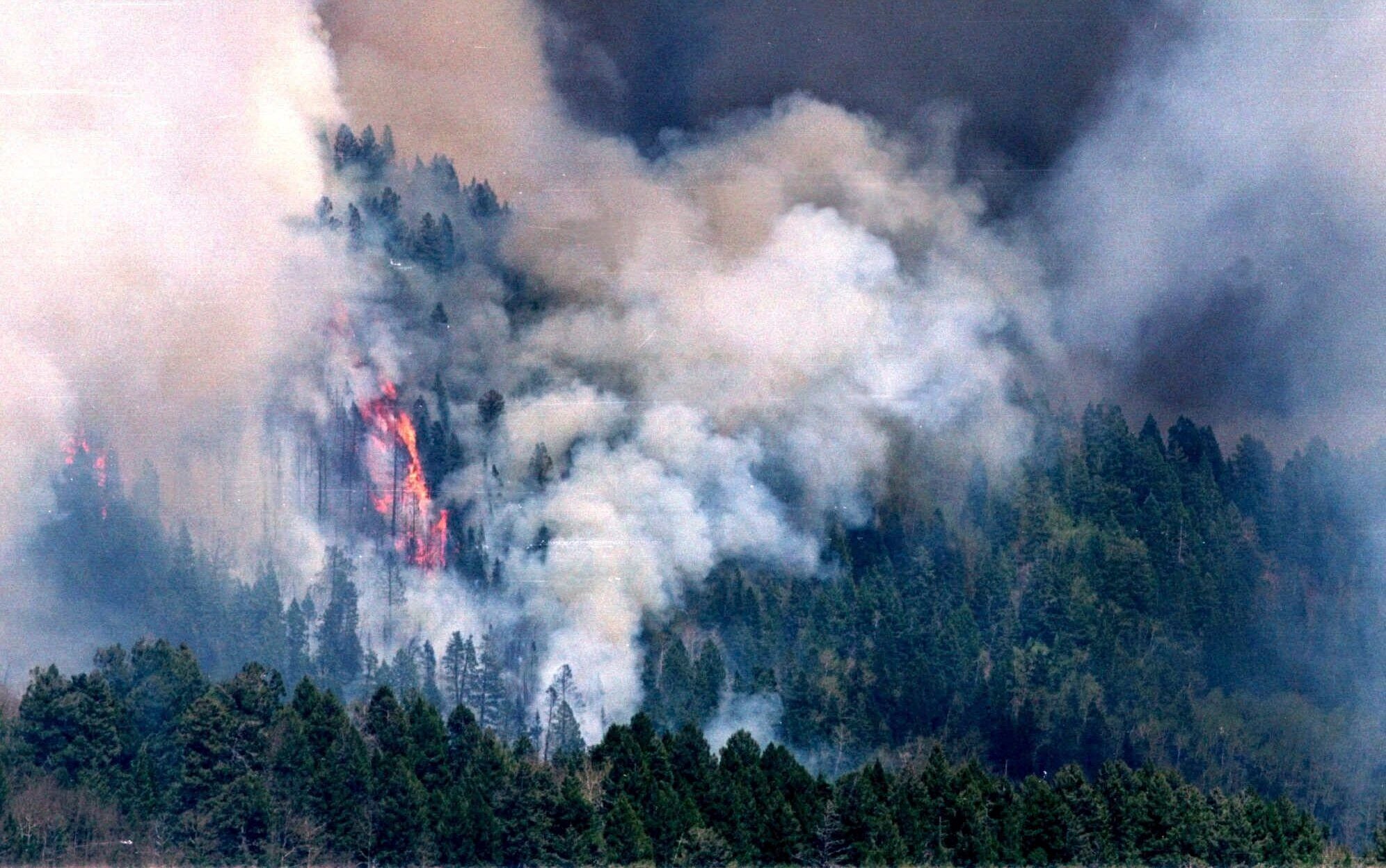 Wildfires Managing Flames