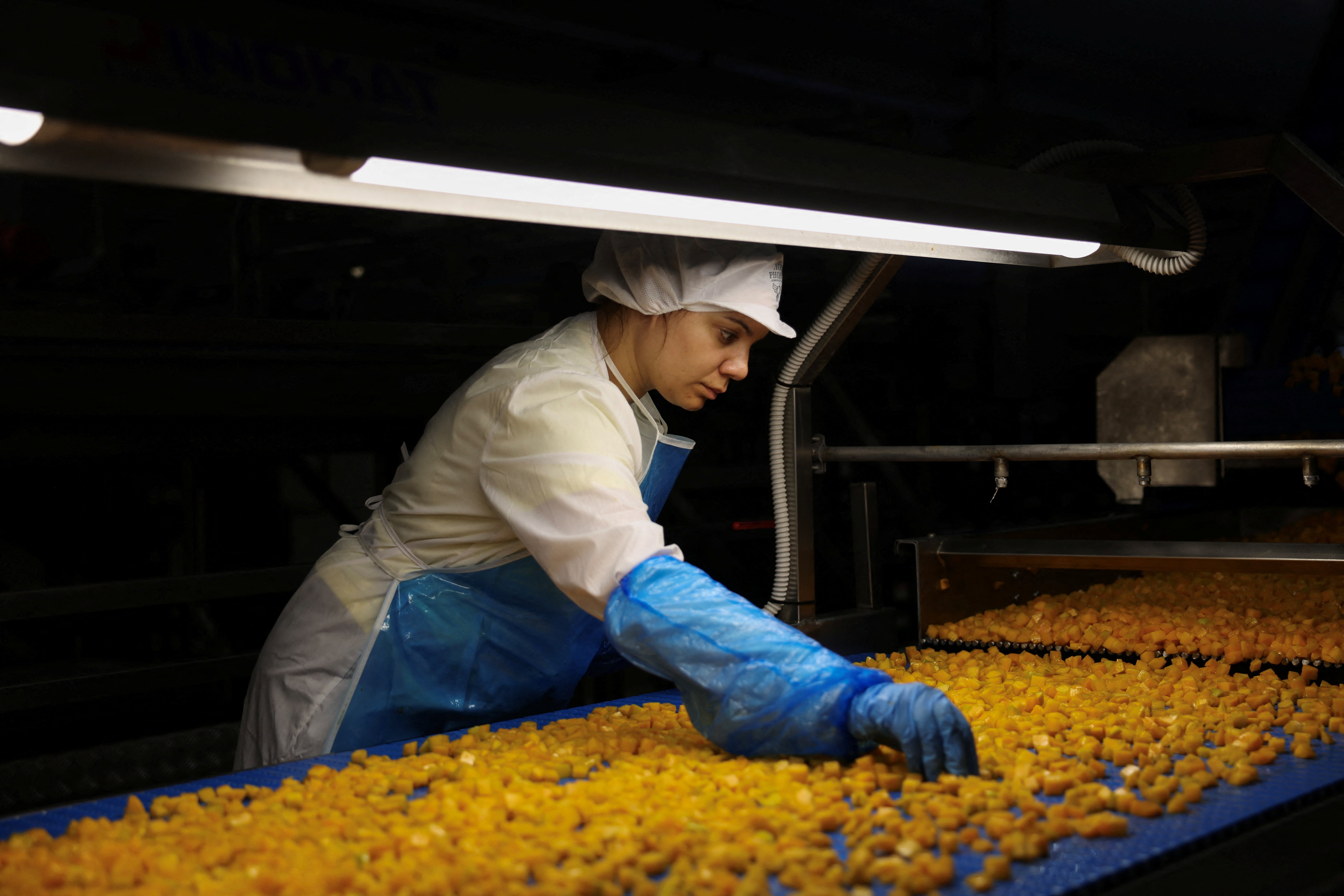 A worker performs a quality control of chopped peaches in a fruit factory producing canned peaches, in Ano Zervochori, near Naoussa, Greece, July 15, 2025. REUTERS/Alexandros Avramidis