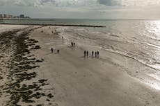 Rare flesh-eating bacteria has already killed four beachgoers in Florida this year
