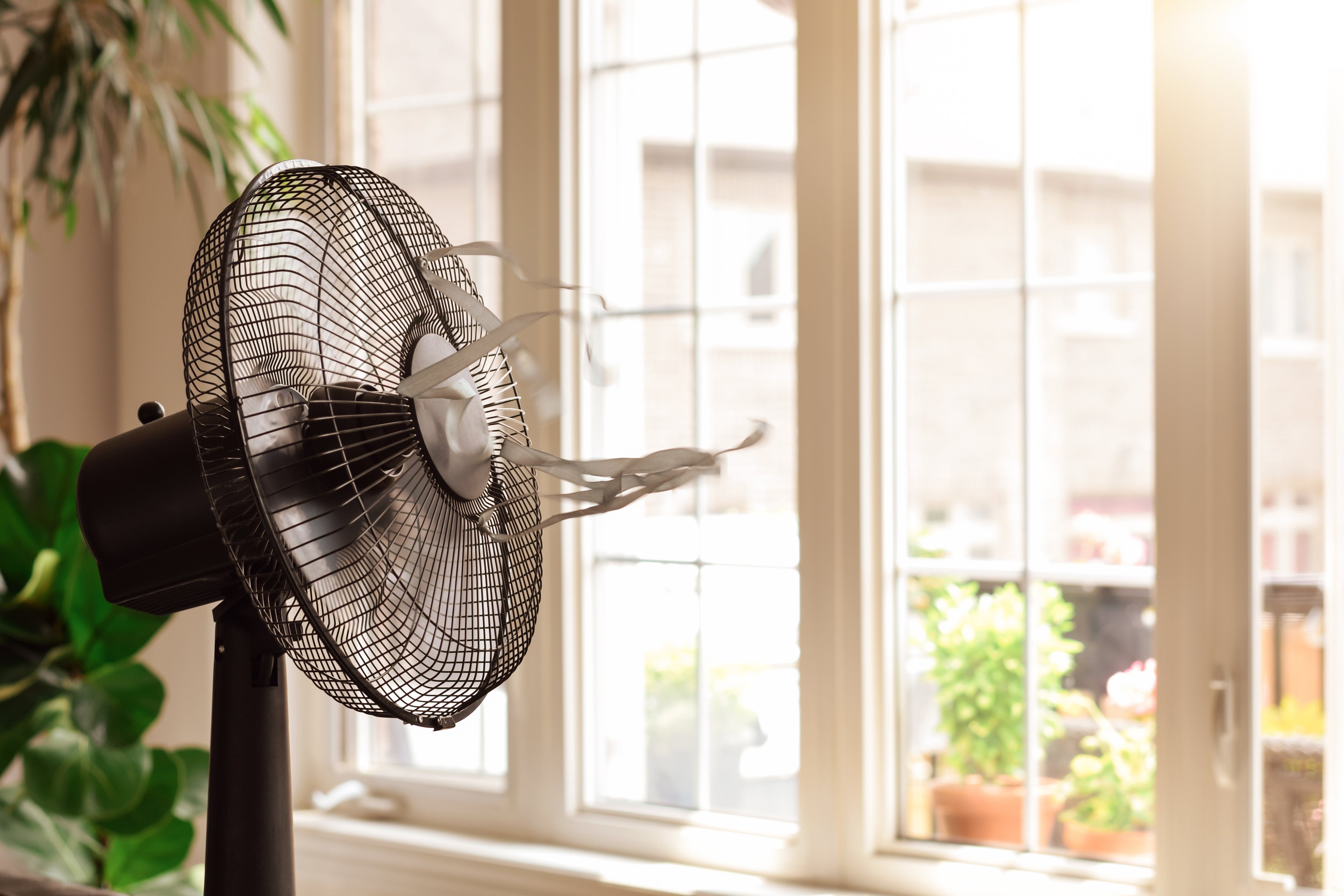 Make sure to get the right fan! Oscillating fans may prevent air flow from moving directly toward you as you sleep