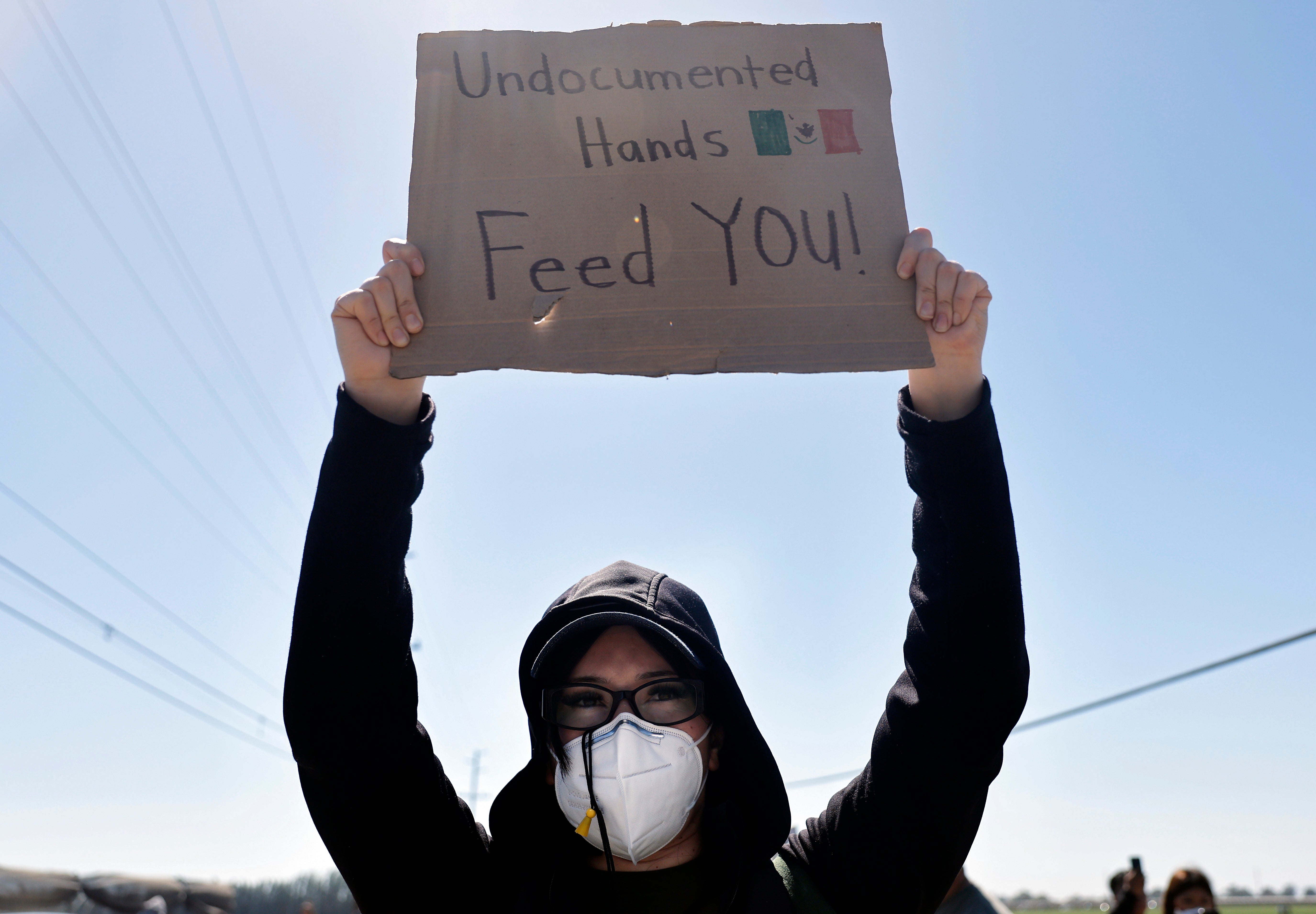 A protester holds a sign reading 'Undocumented Hands Feed You!' near federal agents blocking a road during an ICE immigration raid at a nearby marijuana farm near Camarillo last Thursday