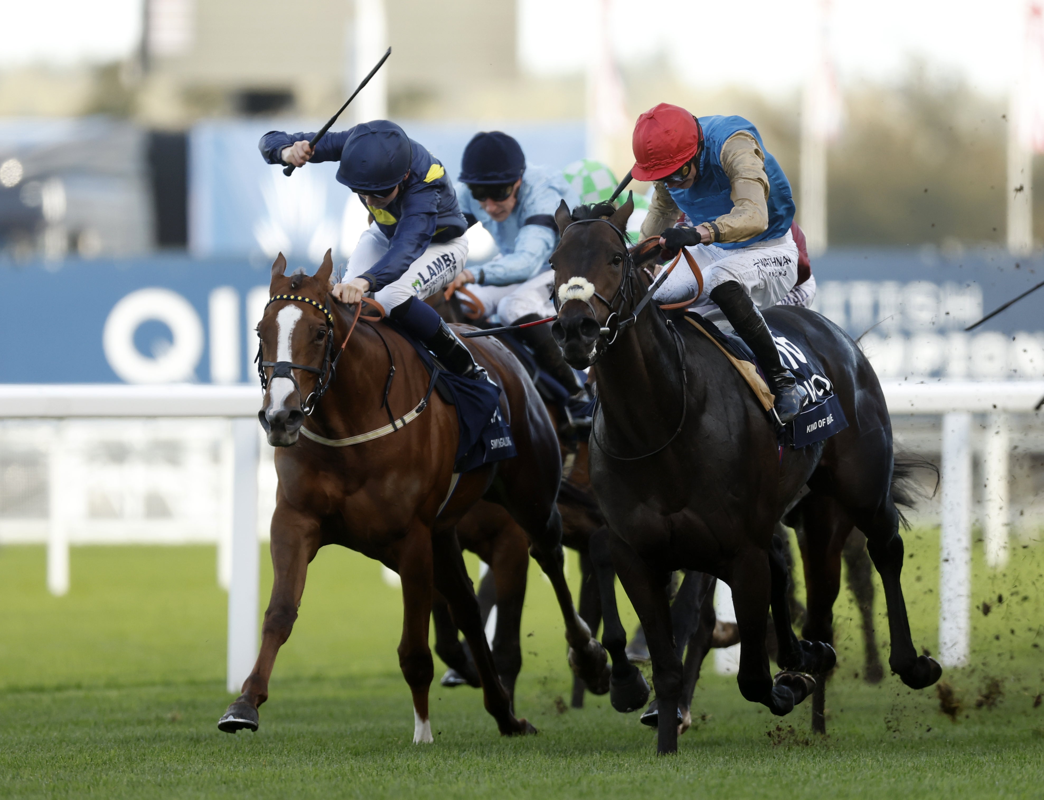 <p>Kind Of Blue (left) is one of the favourites to win at Newbury</p>