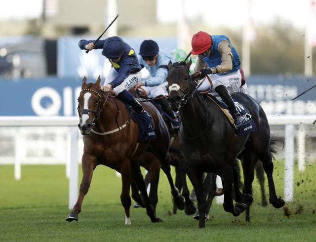 <p>Kind Of Blue (left) is one of the favourites to win at Newbury</p>