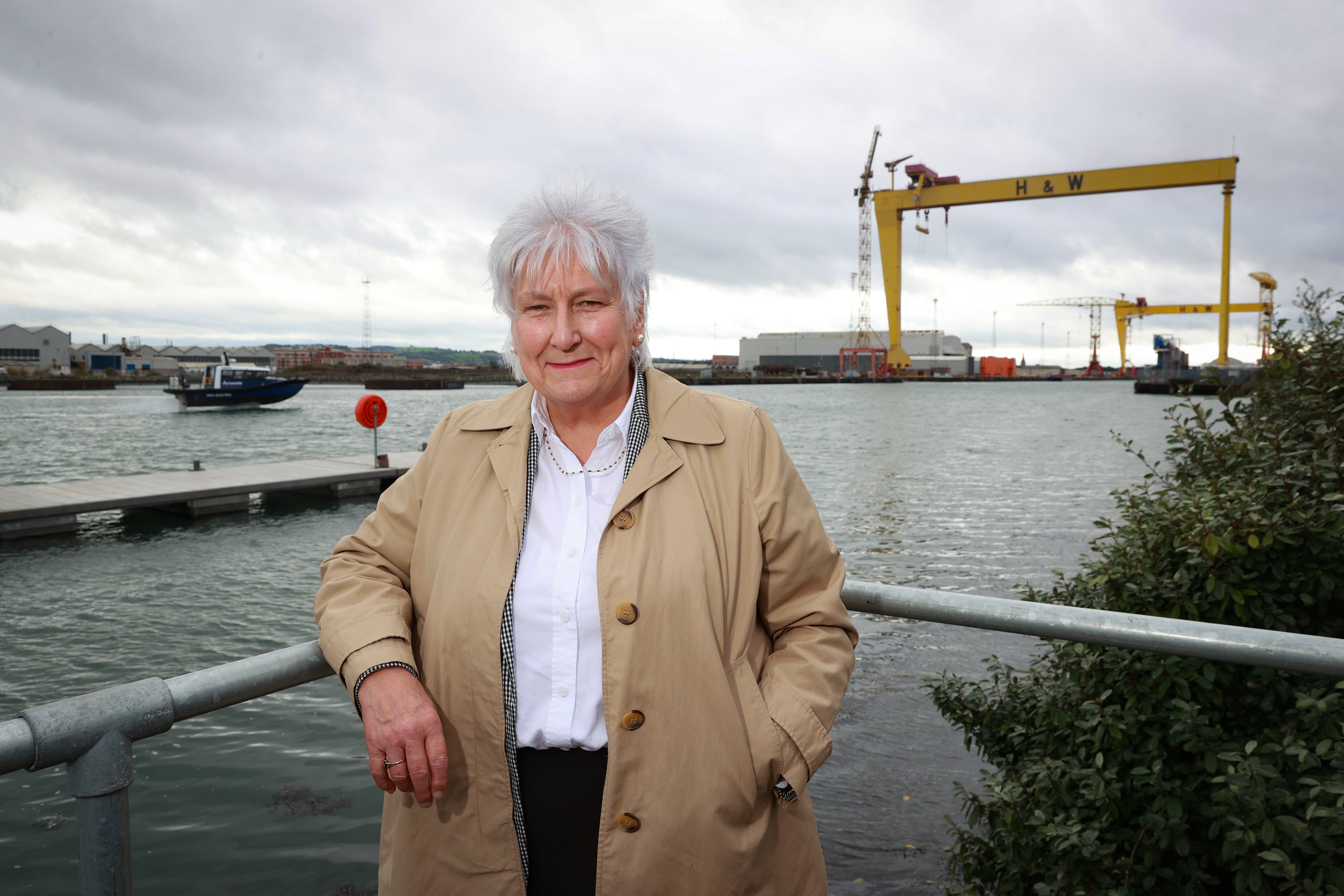 Baroness Goldie said finances were the problem